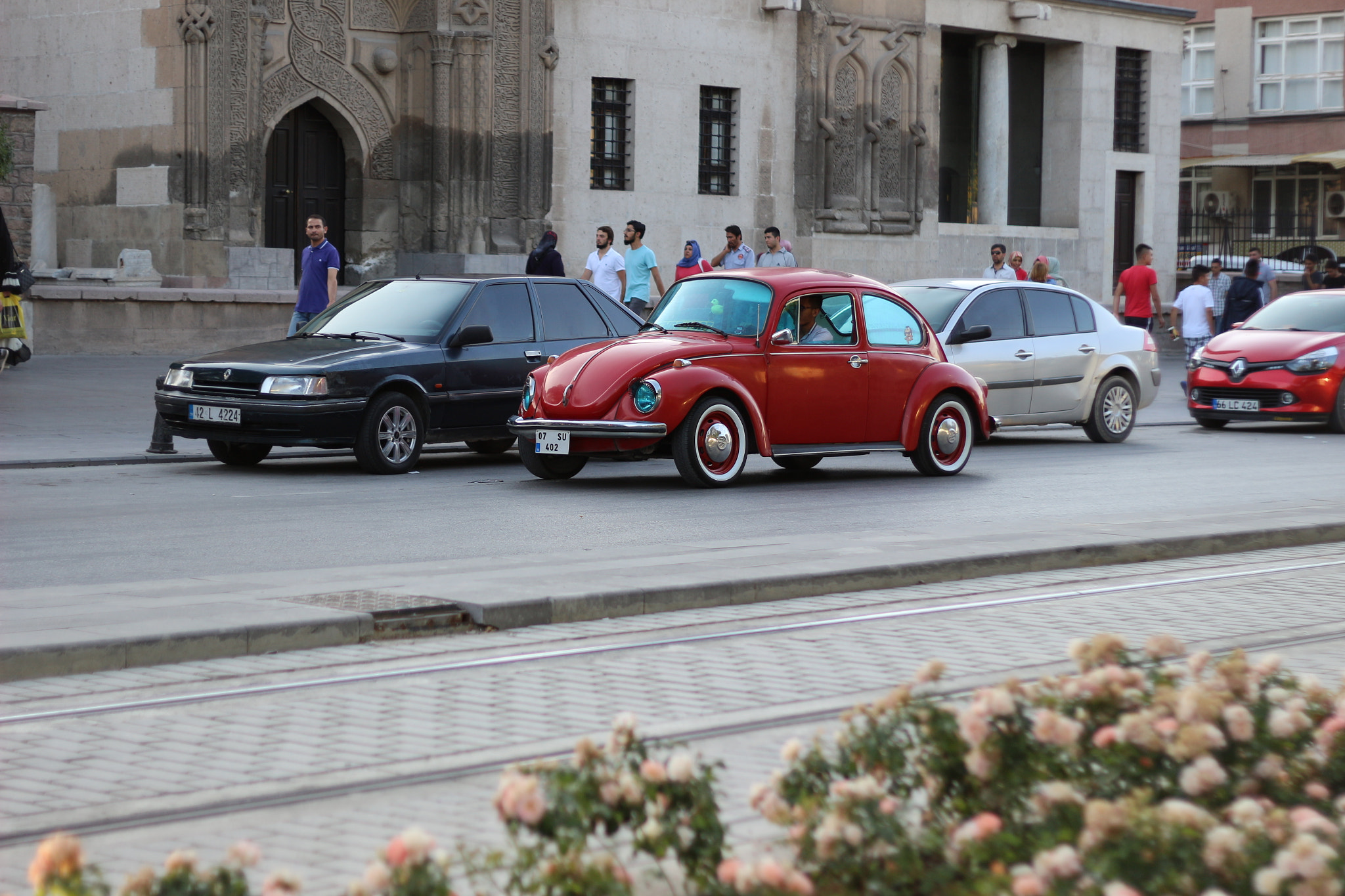 Canon EOS 100D (EOS Rebel SL1 / EOS Kiss X7) + Canon EF 50mm F1.8 II sample photo. Beetle photography