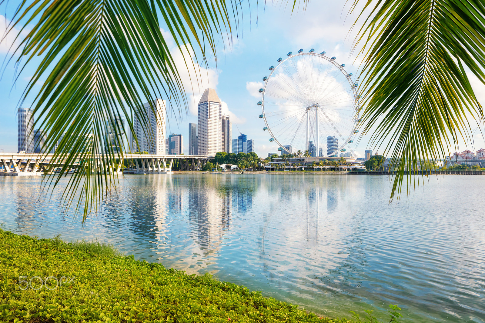 Canon TS-E 24.0mm f/3.5 L II sample photo. Singapore bay from gardens side with palmtree on foreground photography