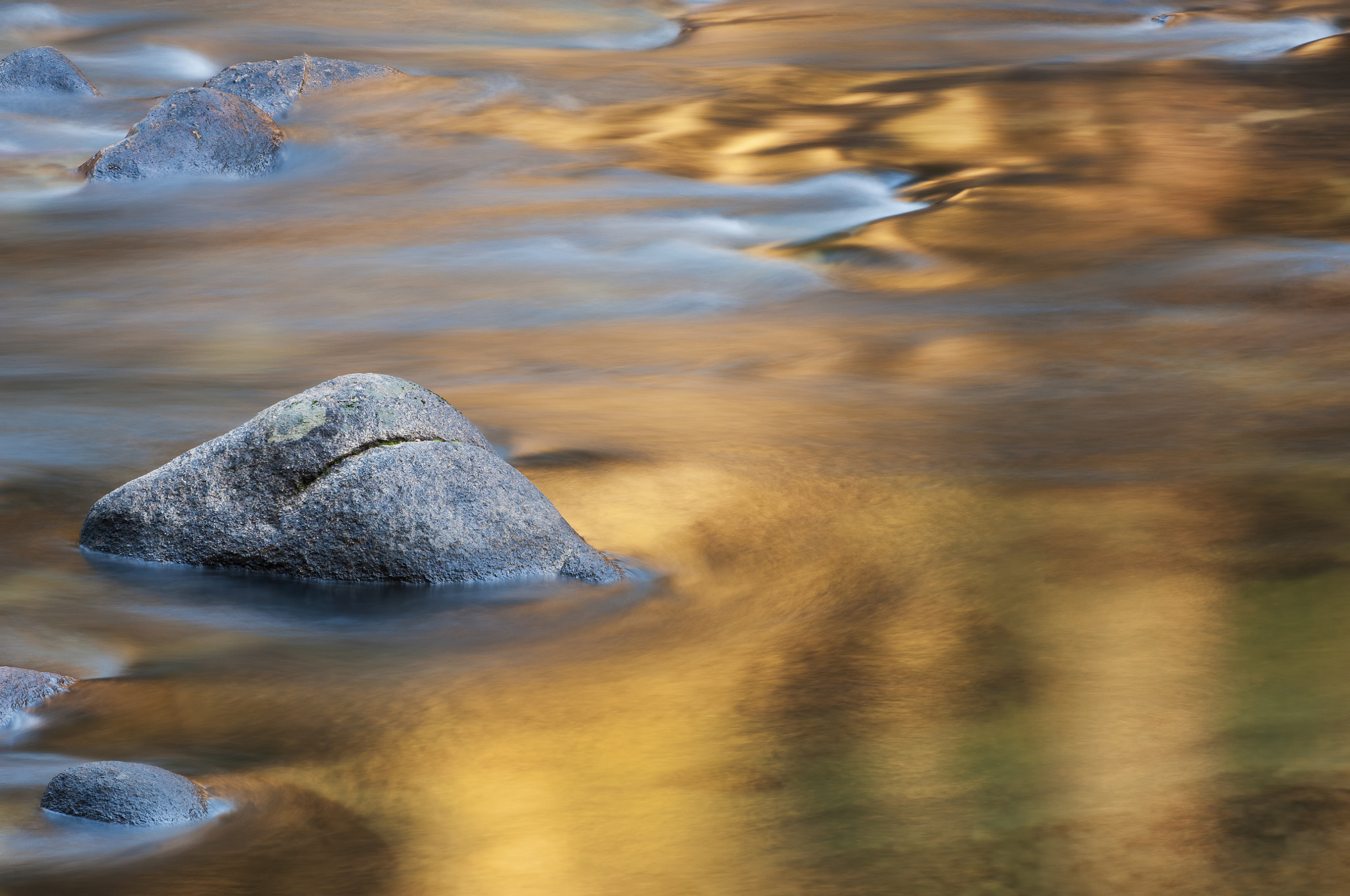 Nikon D2X sample photo. Merced river golden photography