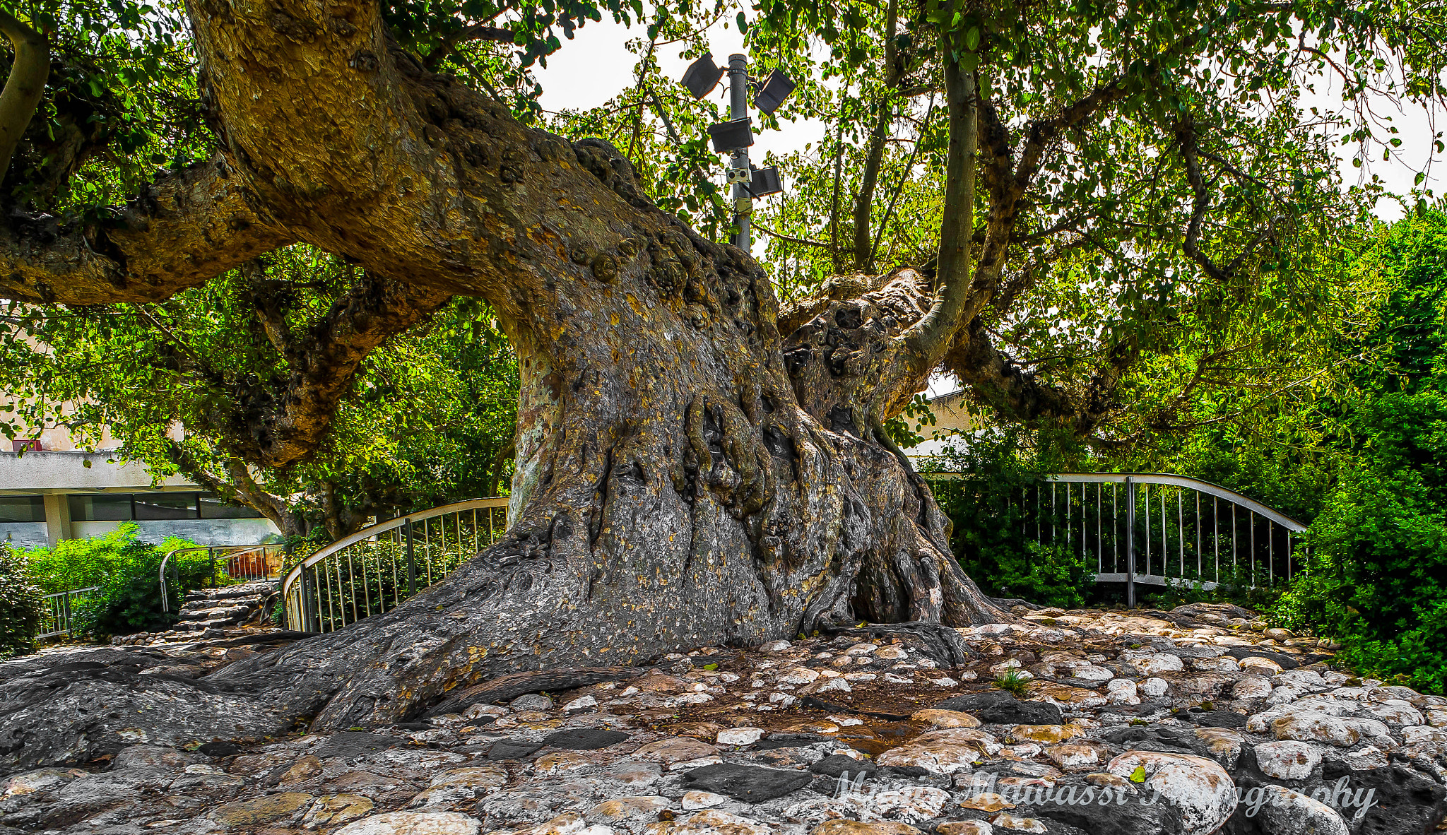 Nikon D750 + Nikon AF Nikkor 20mm F2.8D sample photo. Dsc_0219-1-1.jpg photography