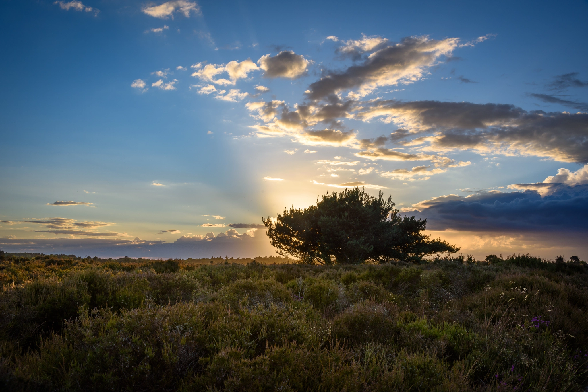 AF Zoom-Nikkor 35-105mm f/3.5-4.5D sample photo. The setting sun photography