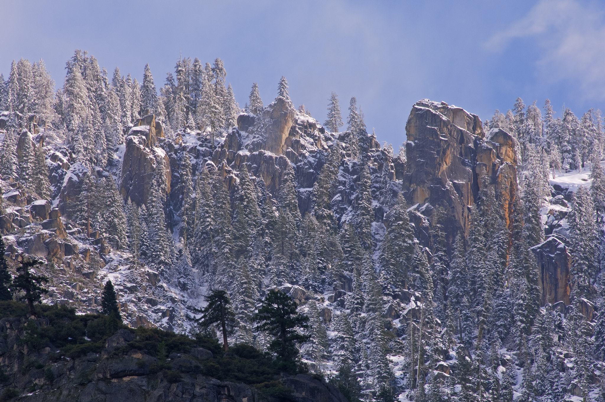 Nikon D2X sample photo. Snow flocked trees and cliff photography