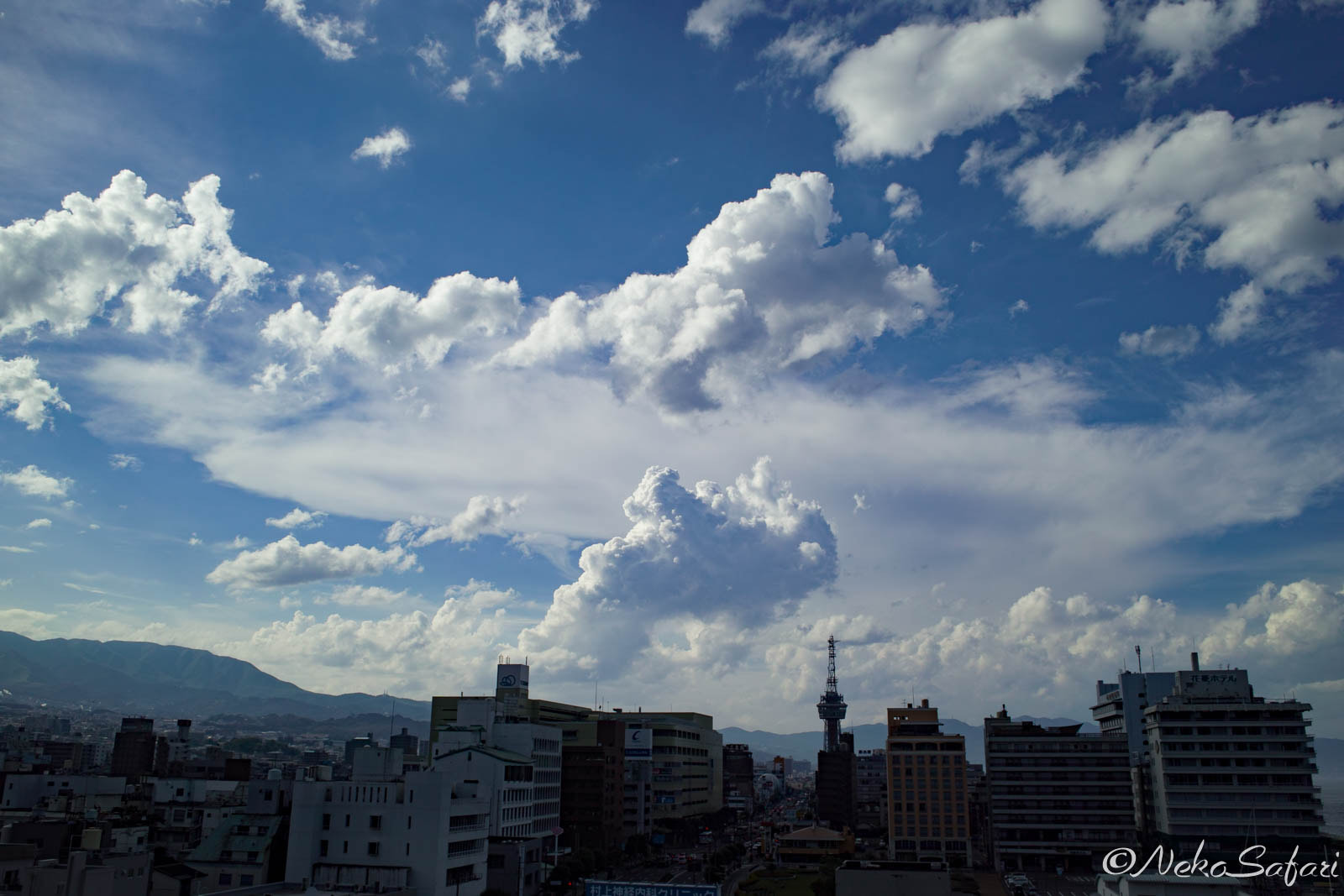 Sigma DP1s sample photo. Summer in beppu photography