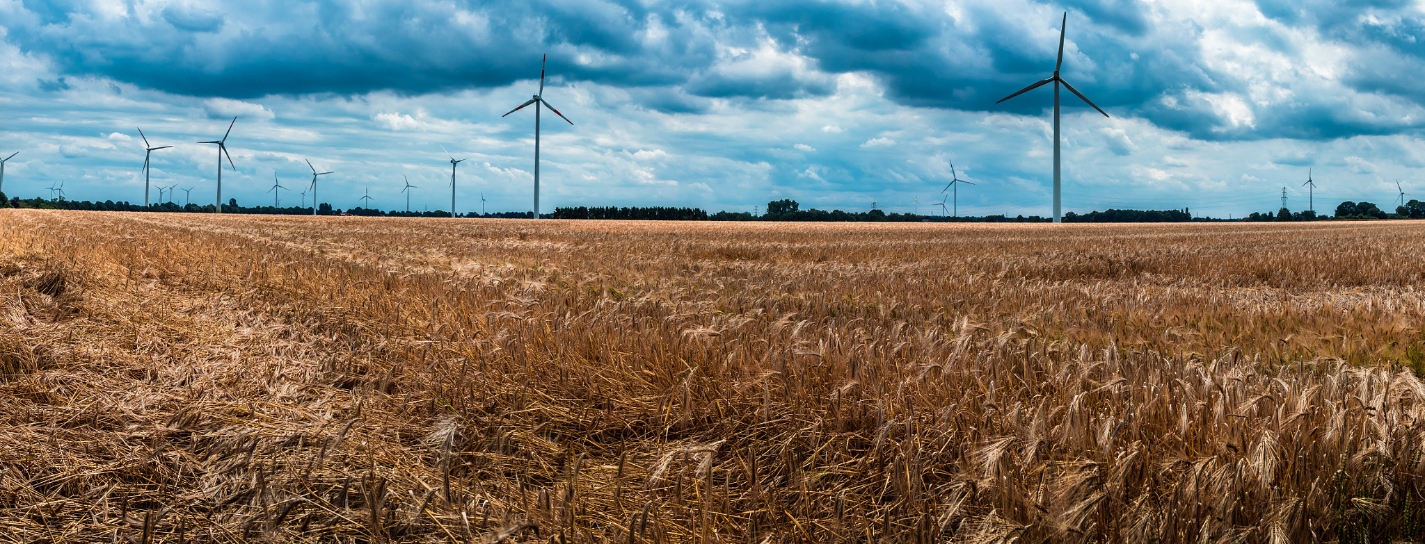 Canon EOS 80D + Canon EF 24mm F1.4L II USM sample photo. Wind power photography