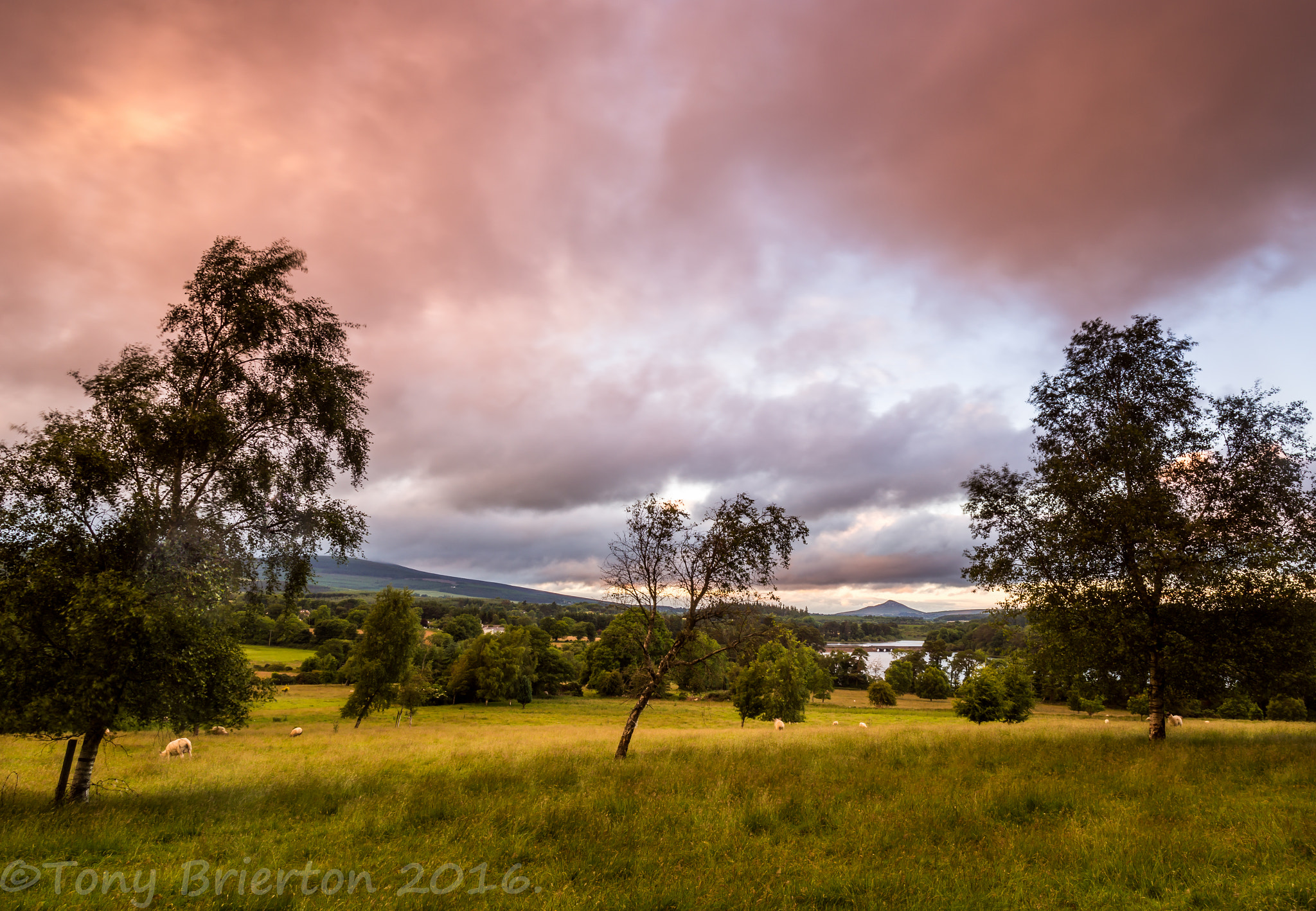 Sony a99 II sample photo. Vartry view. photography