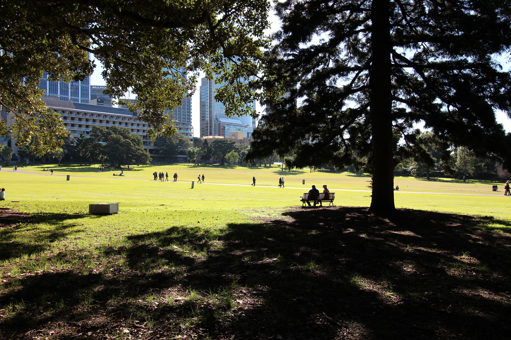 Canon EF-S 10-18mm F4.5–5.6 IS STM sample photo. Silhouette couple under a tree photography