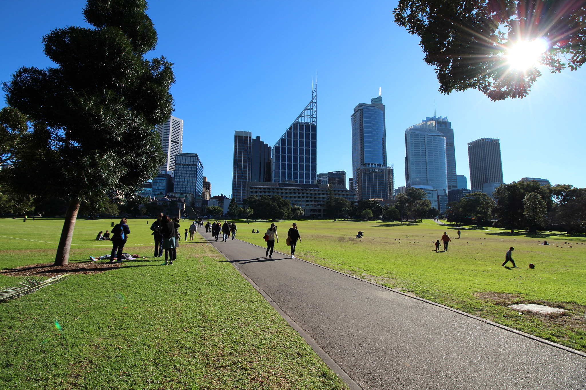 Canon EOS 650D (EOS Rebel T4i / EOS Kiss X6i) + Canon EF-S 10-18mm F4.5–5.6 IS STM sample photo. Bright grassy park photography