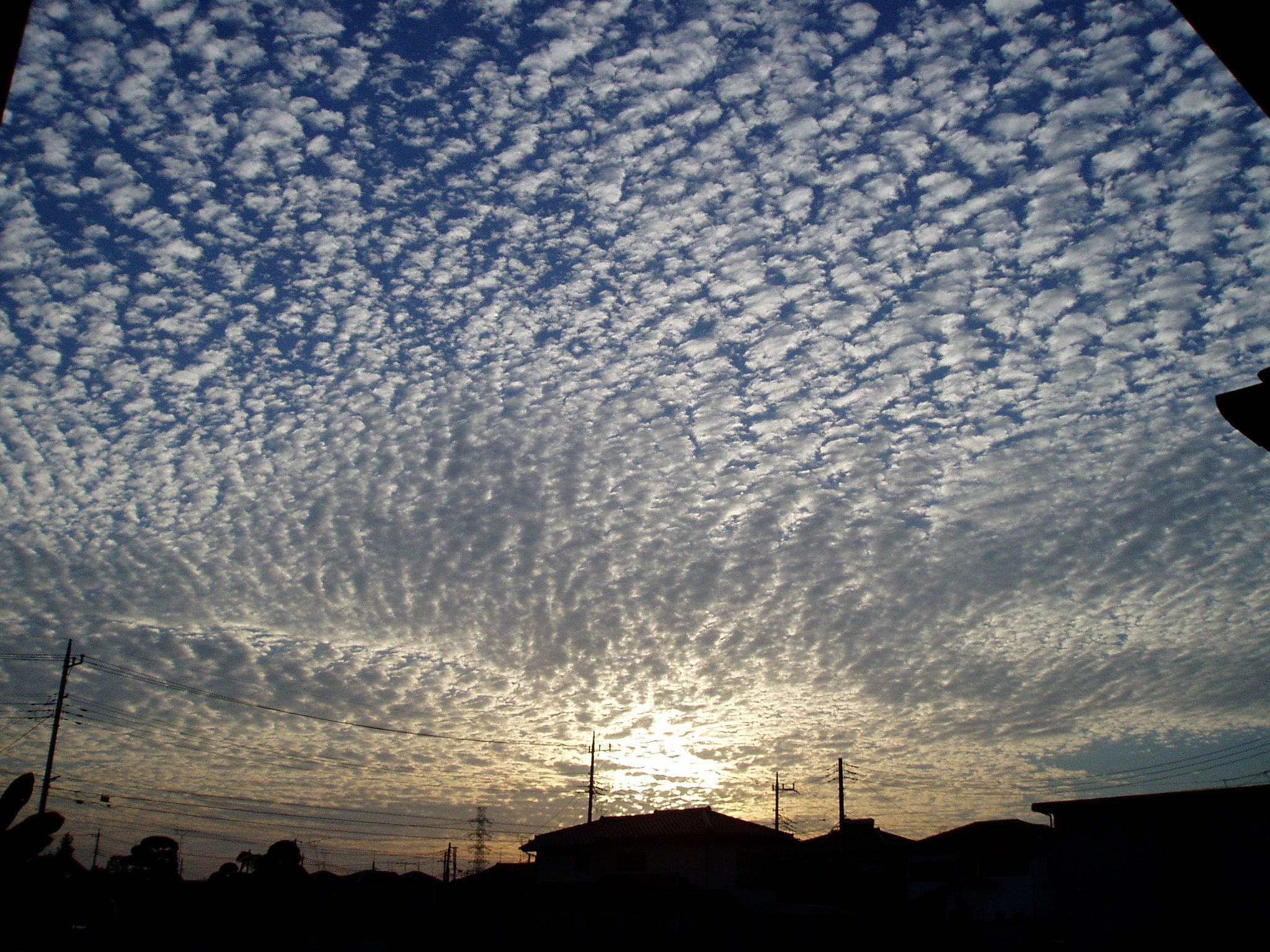 Olympus u10D,S300D,u300D sample photo. Scales cloud photography