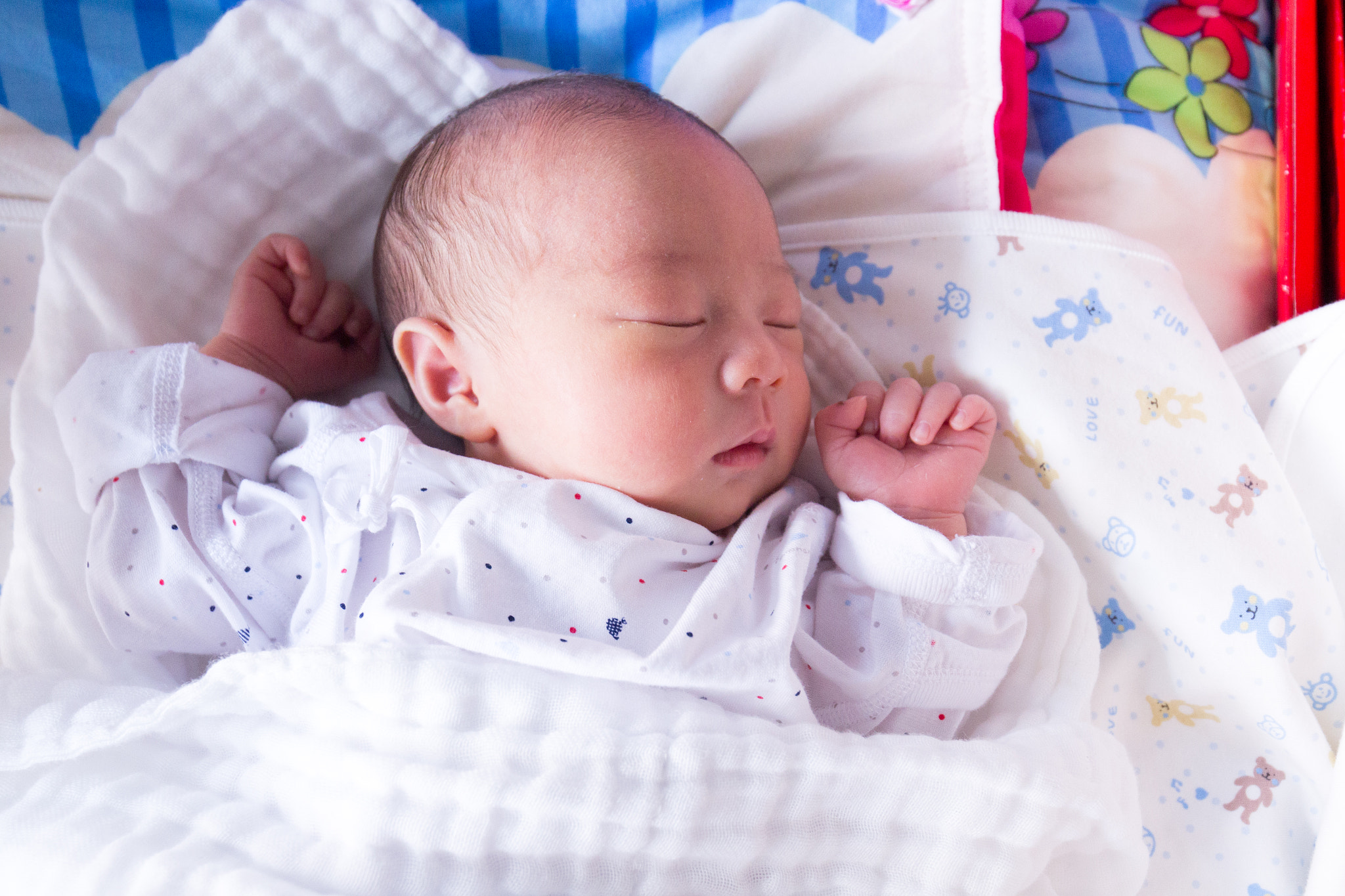 Canon EOS 60D + Canon EF 16-35mm F4L IS USM sample photo. Hi baby photography