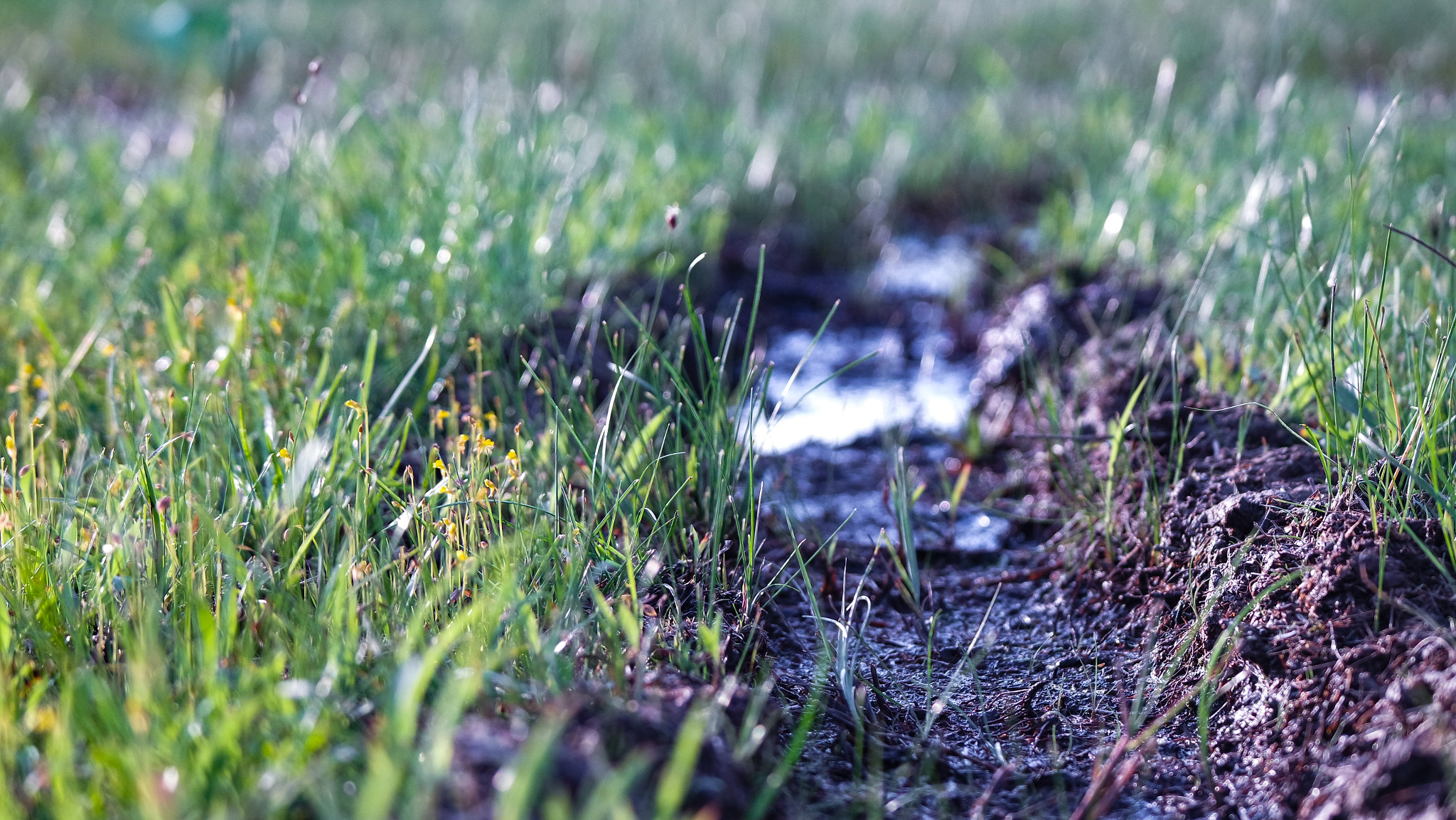 Samsung NX3000 + NX 50-200mm F4-5.6 sample photo. Whether rain or shine photography