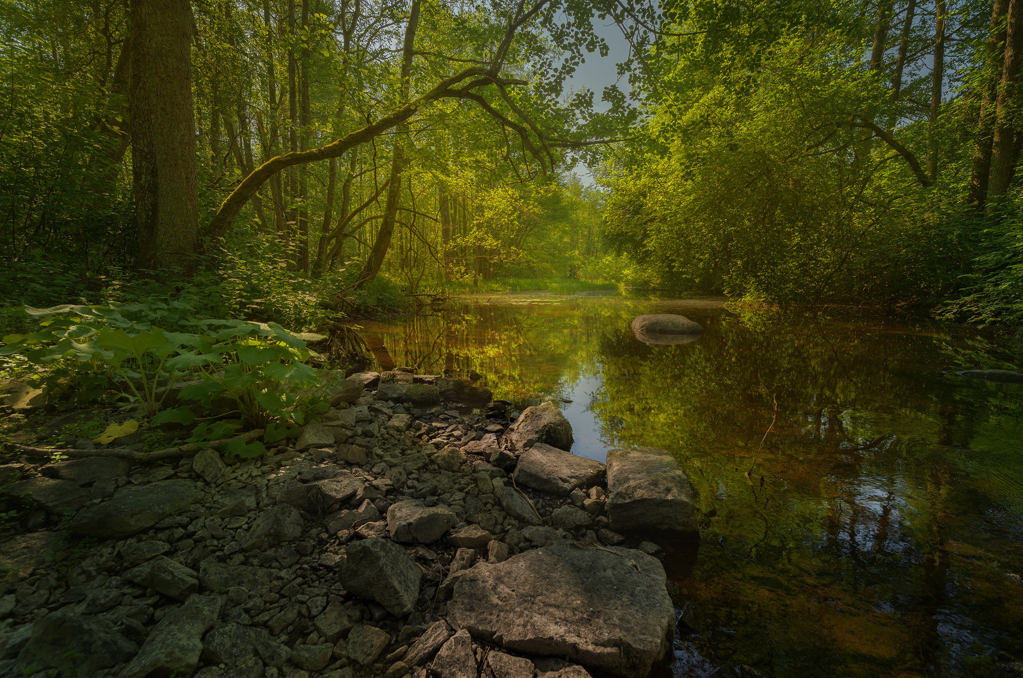 Nikon D4S sample photo. Summer! photography