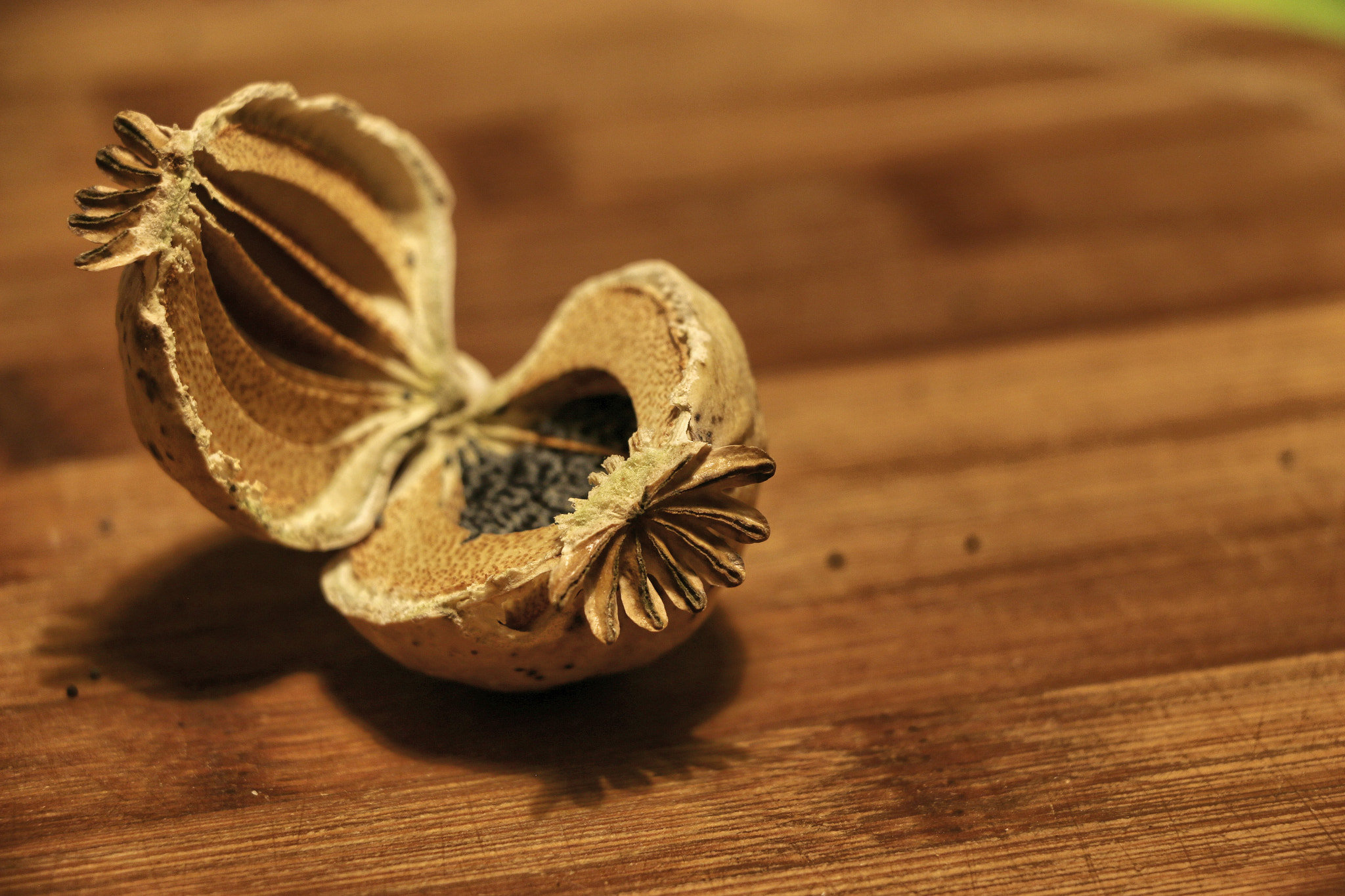 18.0 - 135.0 mm sample photo. The mystery of the inside photography
