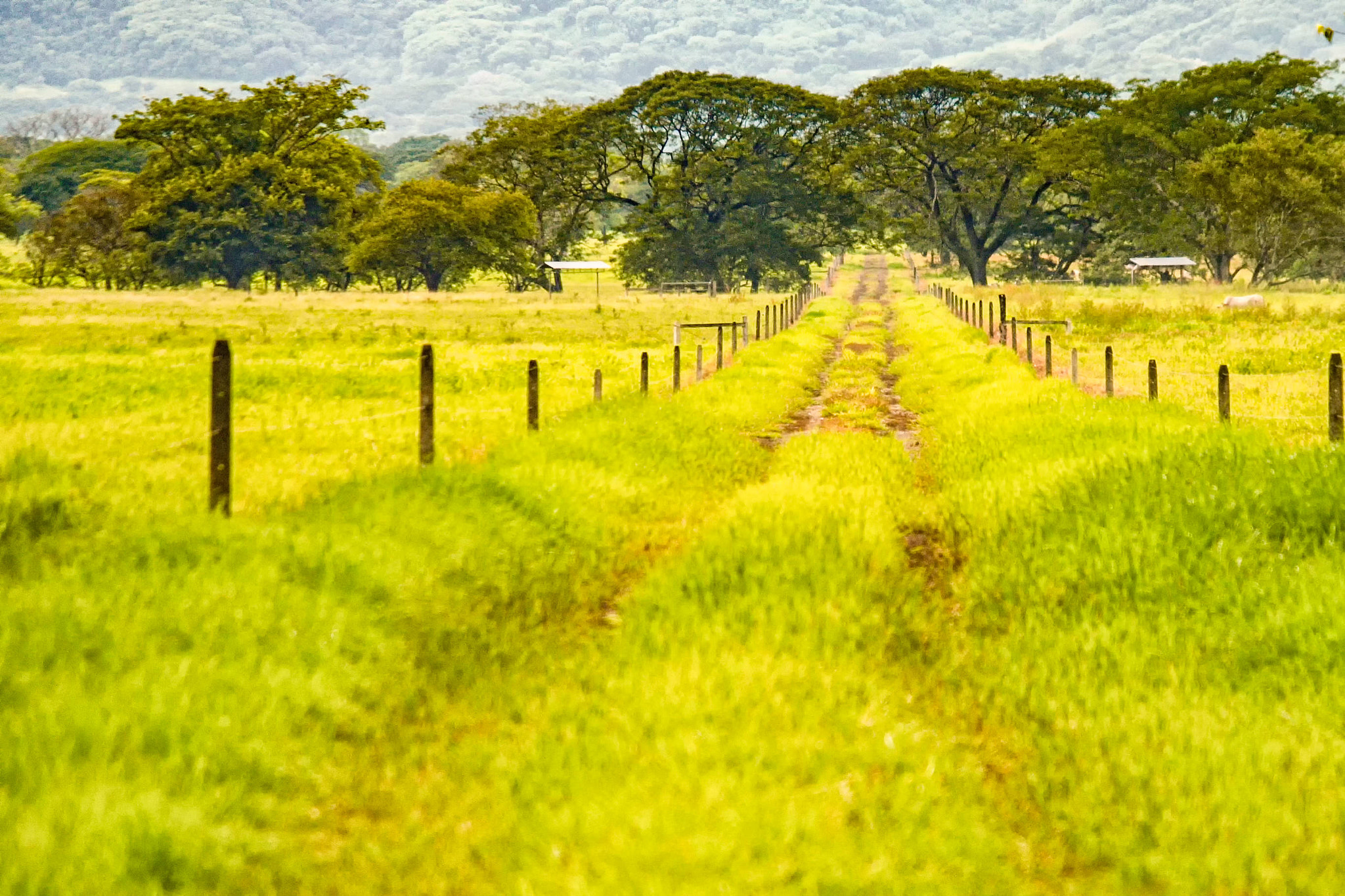 Pentax smc DA 50-200mm F4-5.6 ED WR sample photo. Trail between fences photography