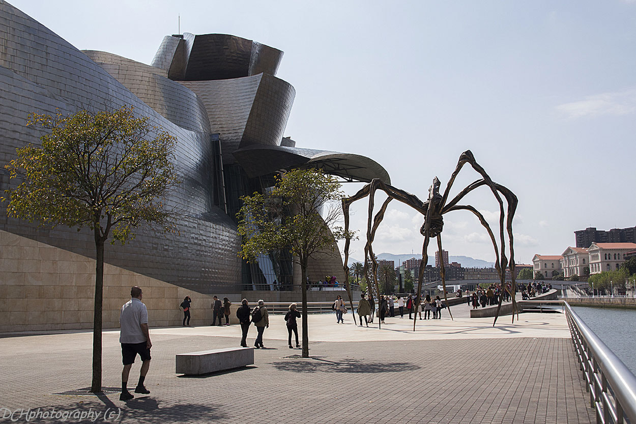 Sigma 18-200mm f/3.5-6.3 DC OS sample photo. The guggenheim museum bilbao photography