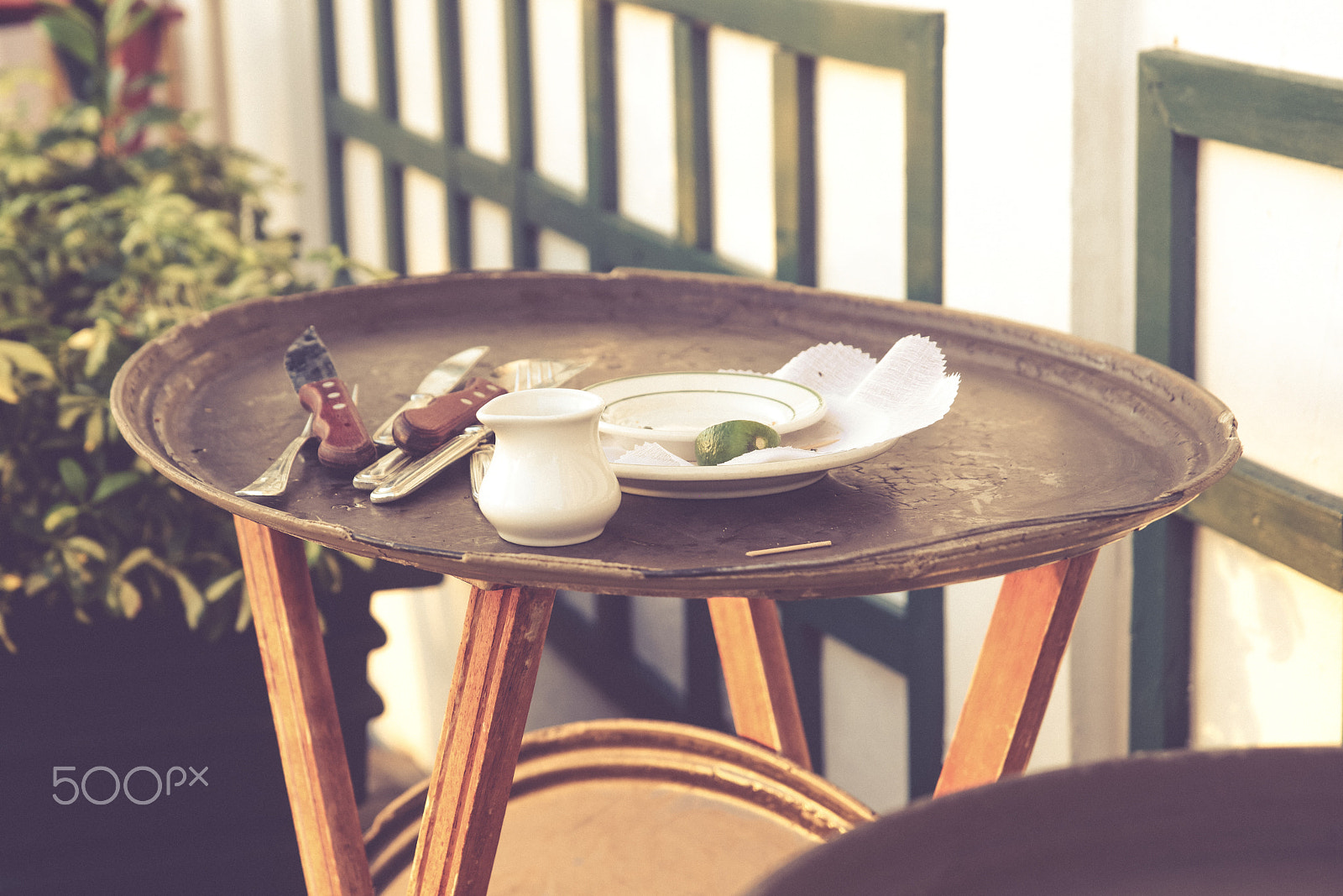 Canon EOS 5DS R + Canon EF 400mm f/2.8L sample photo. Breakfast photography