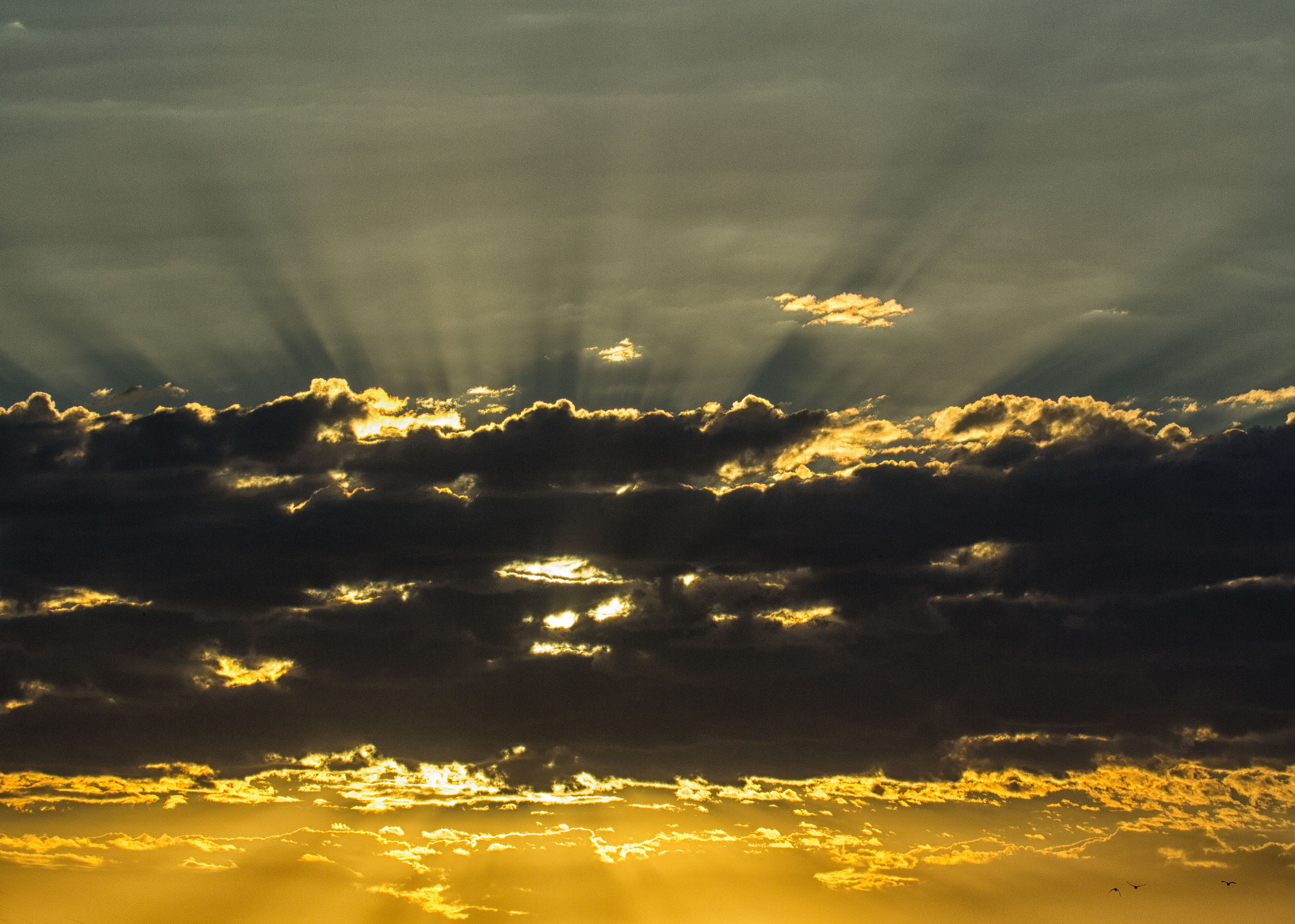 Canon EF 100-400mm F4.5-5.6L IS USM sample photo. Let it shine photography