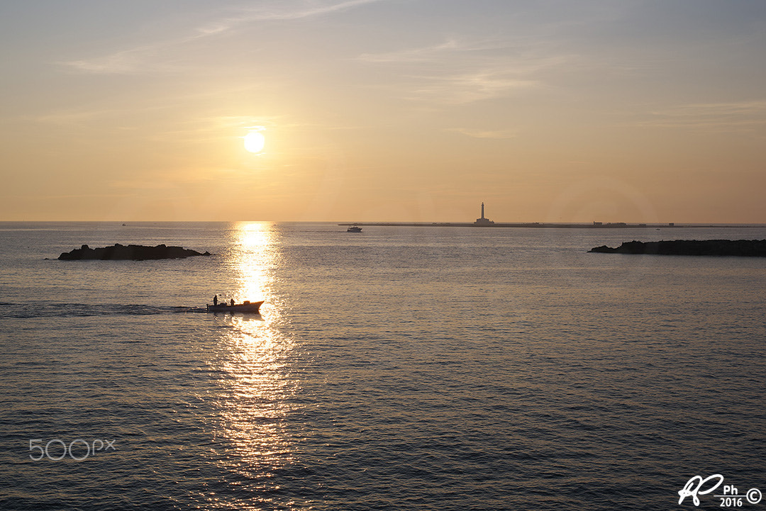 Nikon D750 + 50mm F/1.8 G sample photo. Sunnyday photography