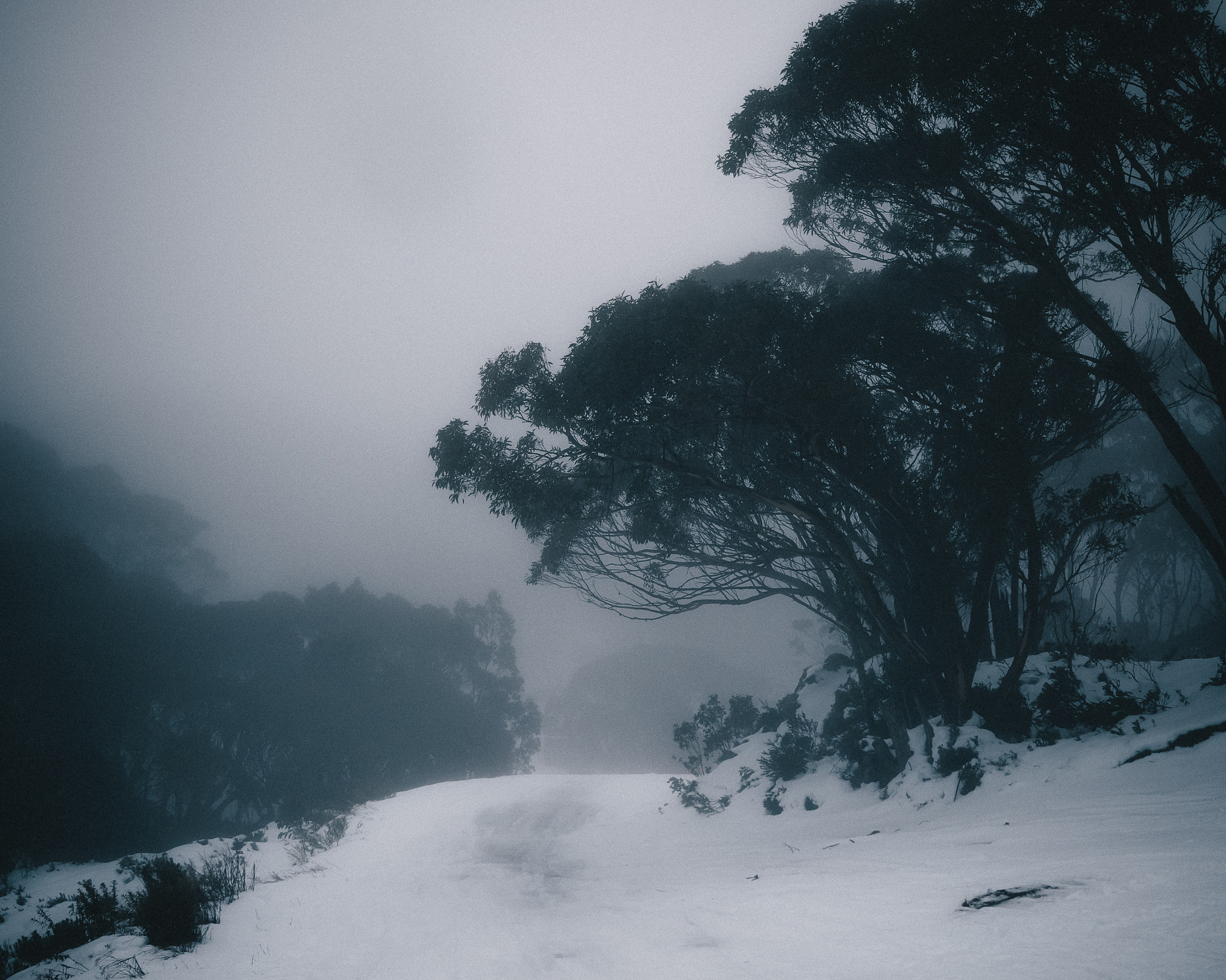 Sigma 24mm F1.4 DG HSM Art sample photo. Aye, winter has come. photography
