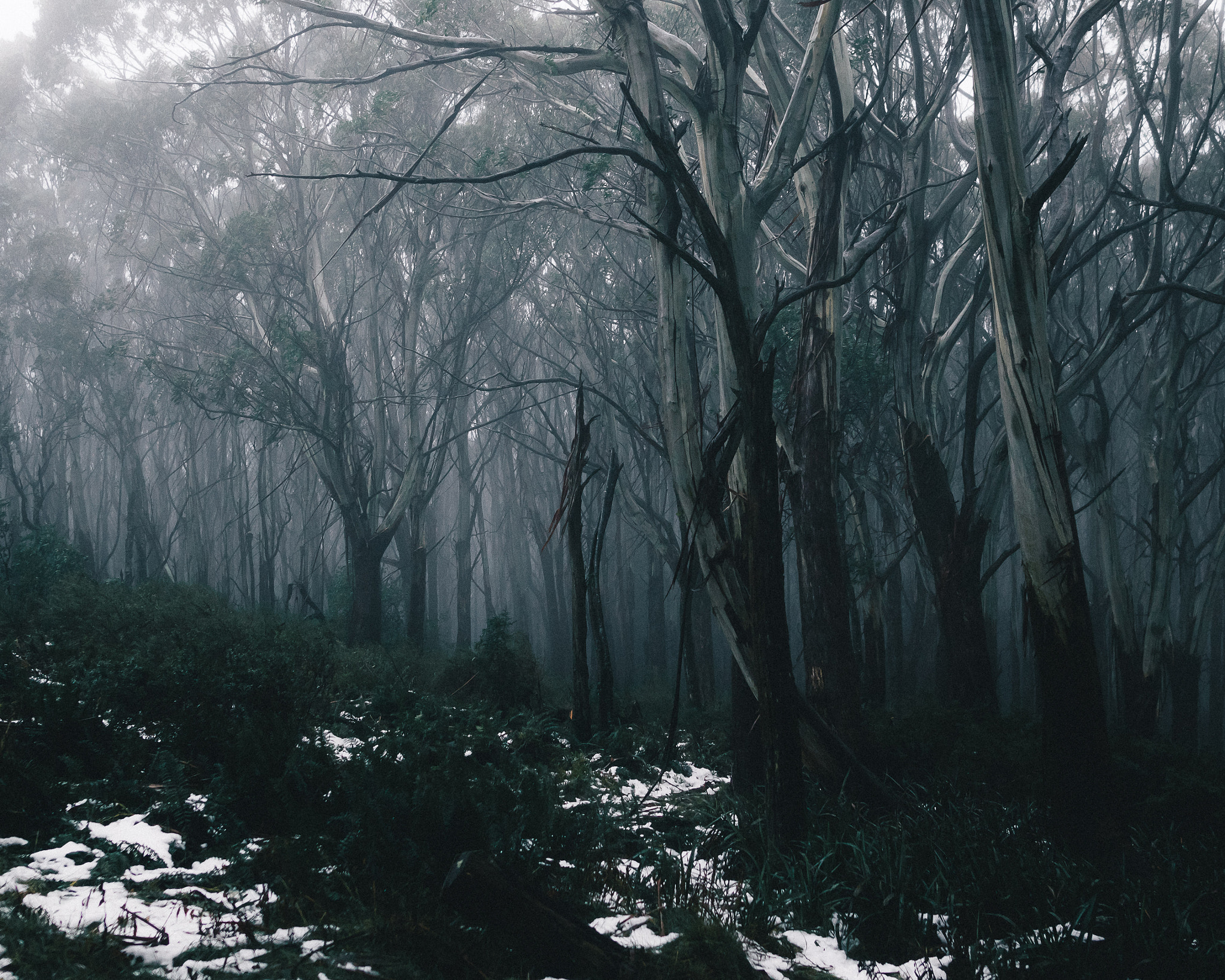Sigma 24mm F1.4 DG HSM Art sample photo. A haunting. photography