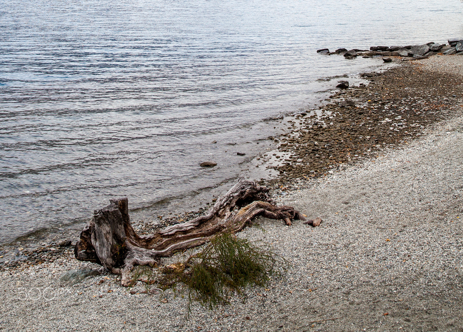 Sigma 24-35mm F2 DG HSM Art sample photo. Quiet lakeside photography