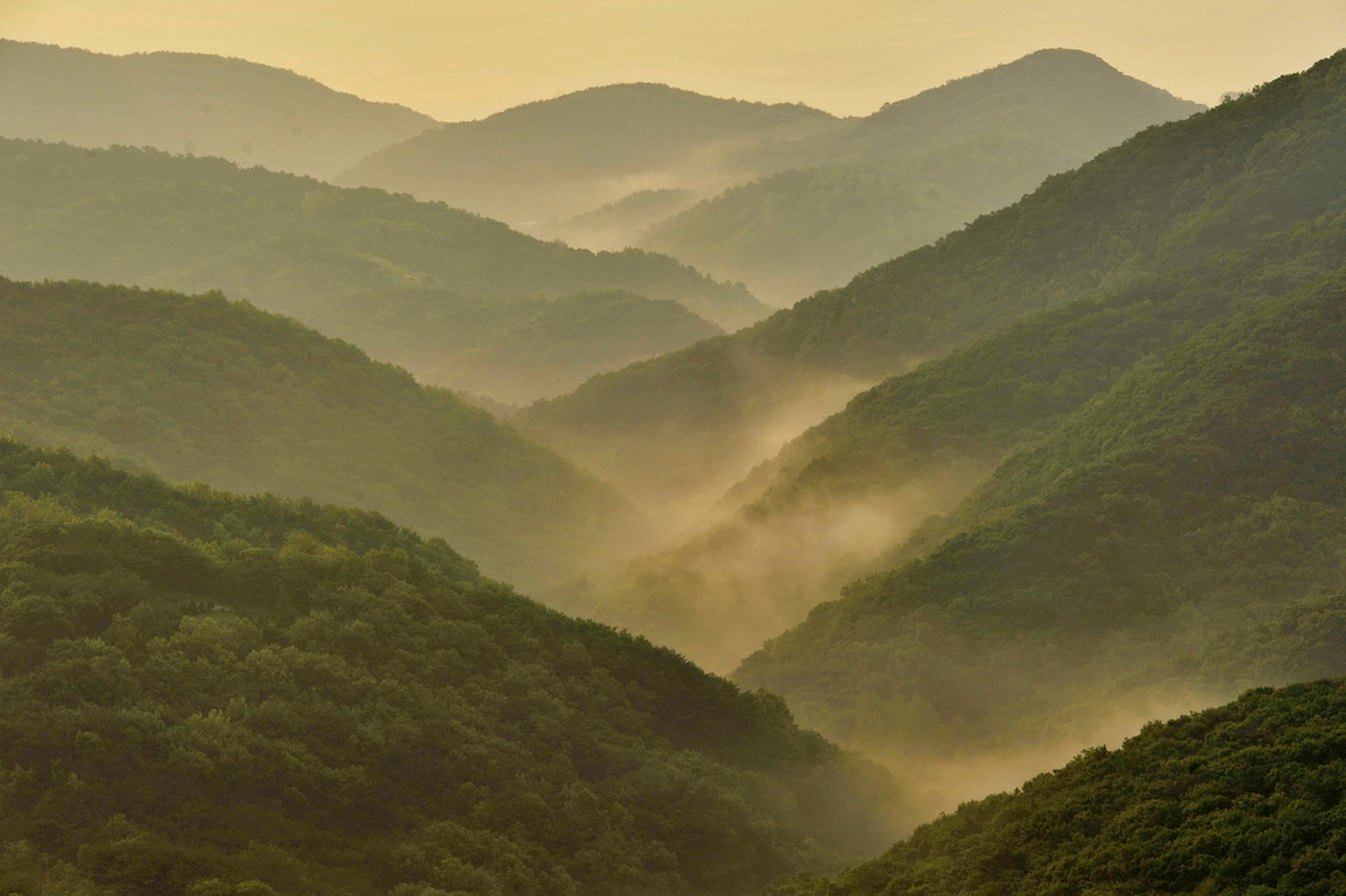 Sigma 150-500mm F5-6.3 DG OS HSM sample photo. Fog mountain photography