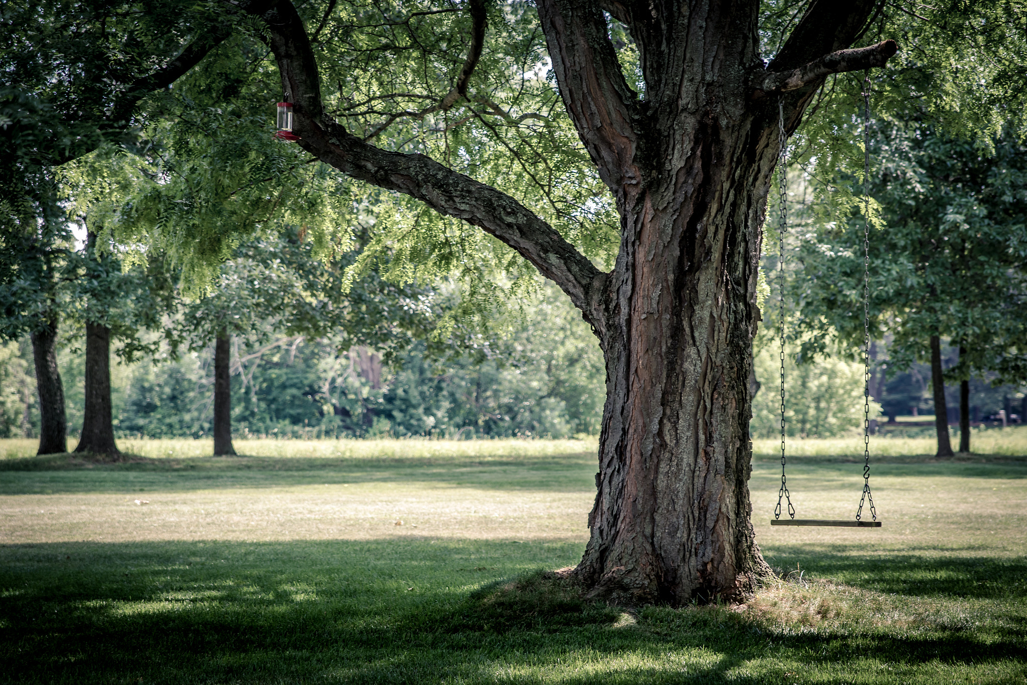 Canon EF 400mm f/2.8L sample photo. God bless america photography