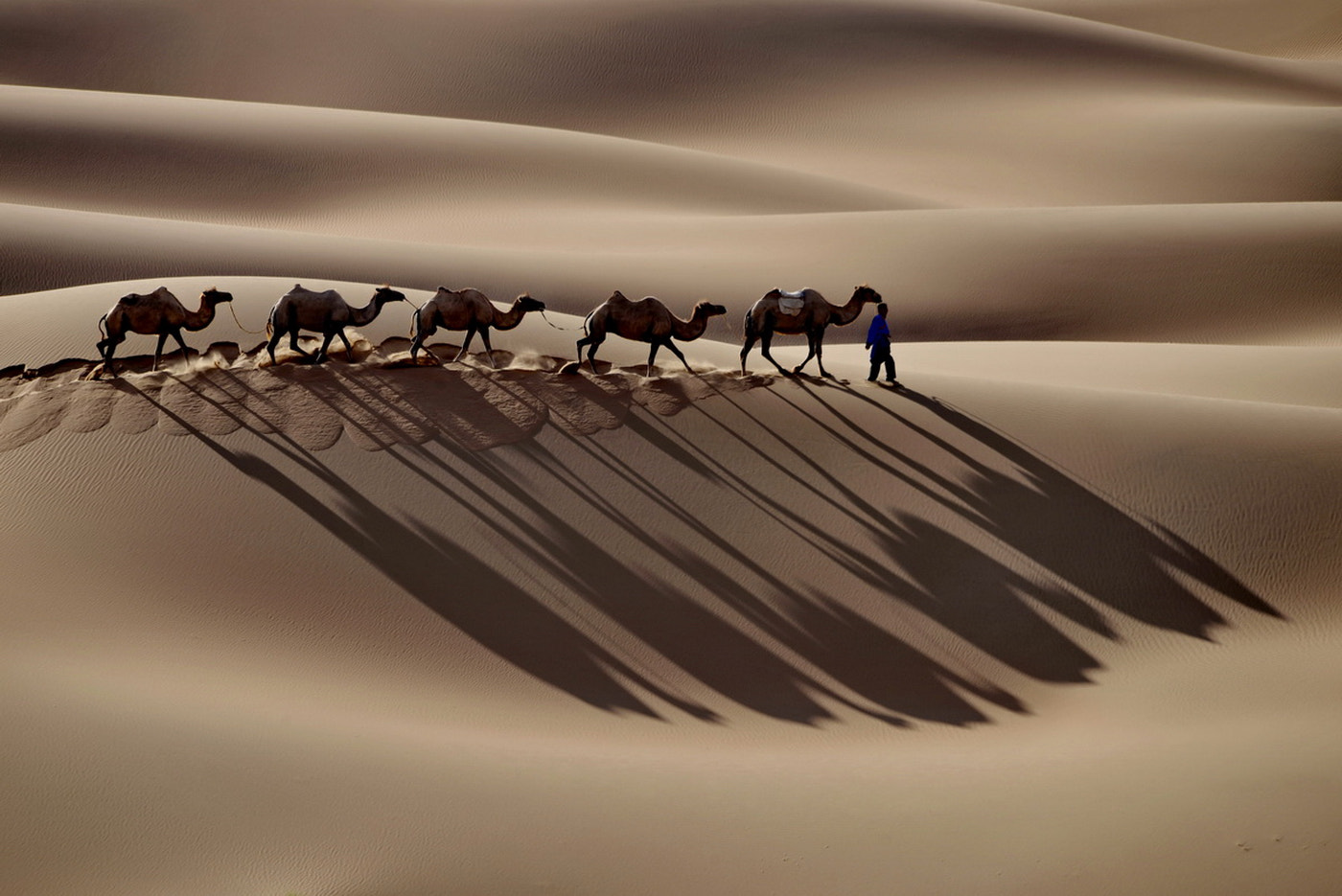 Sigma 150-500mm F5-6.3 DG OS HSM sample photo. Badan jilin desert photography