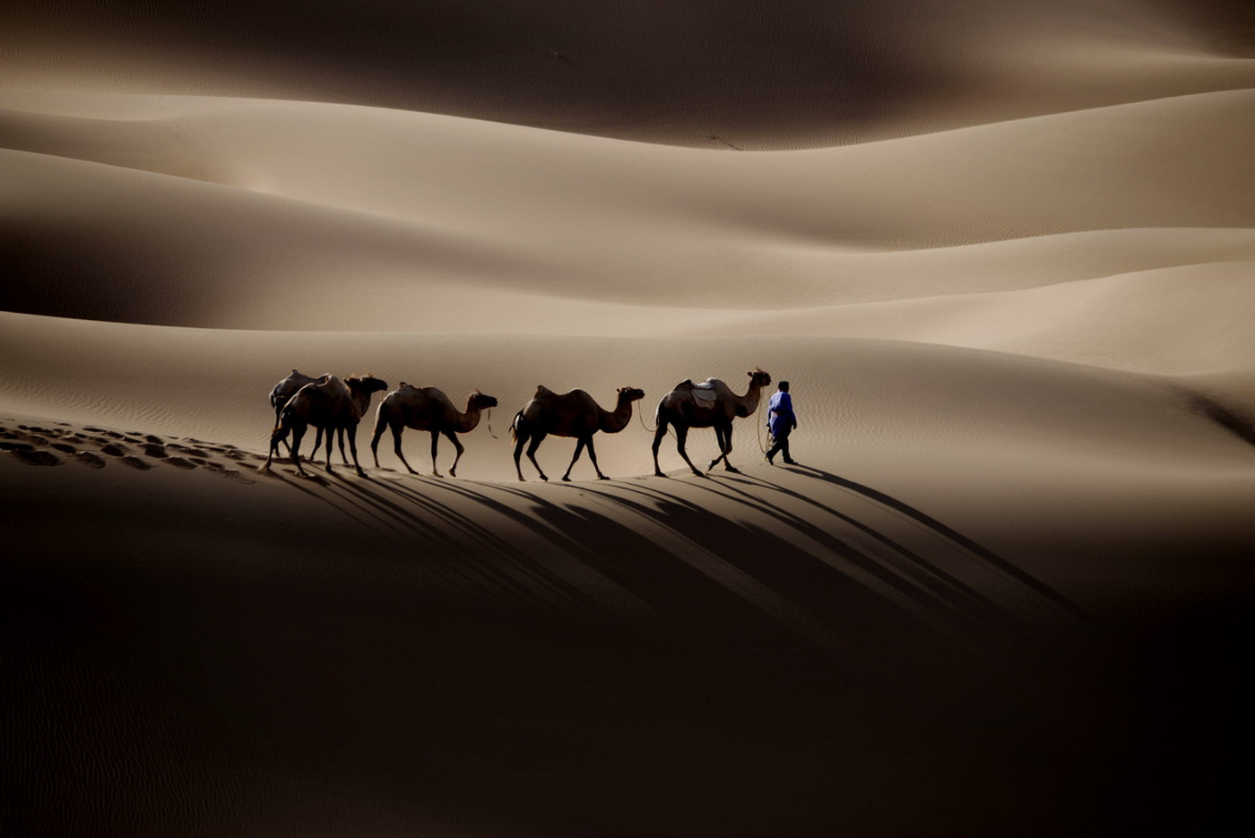 Sigma 150-500mm F5-6.3 DG OS HSM sample photo. Badan jilin desert photography