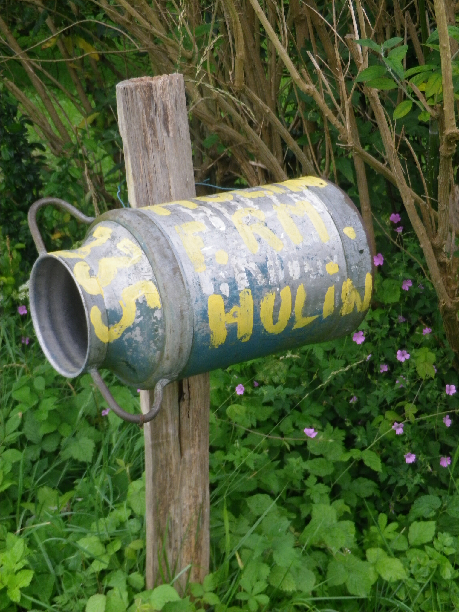 Pentax Optio RZ18 sample photo. Idée de recyclage !?.... photography