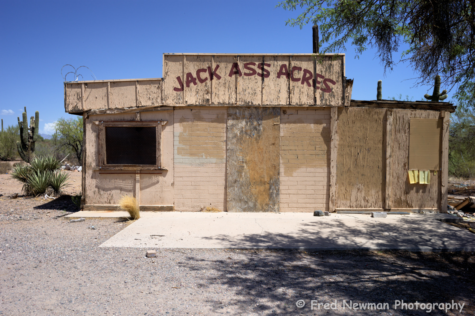 Summarit-S 35 sample photo. Jack ass acres photography