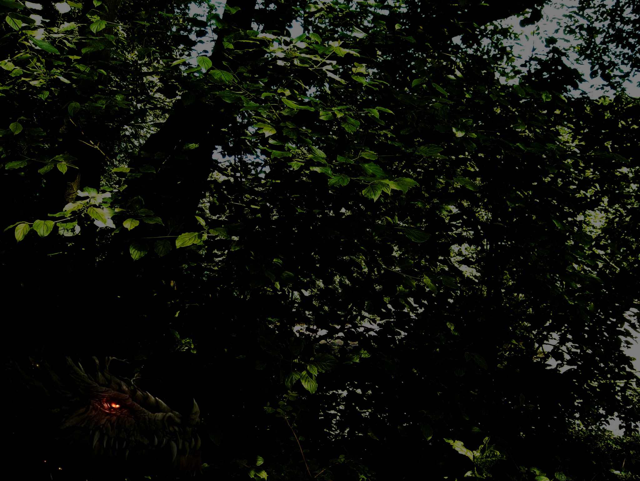 Nikon Coolpix L16 sample photo. Dragon photography