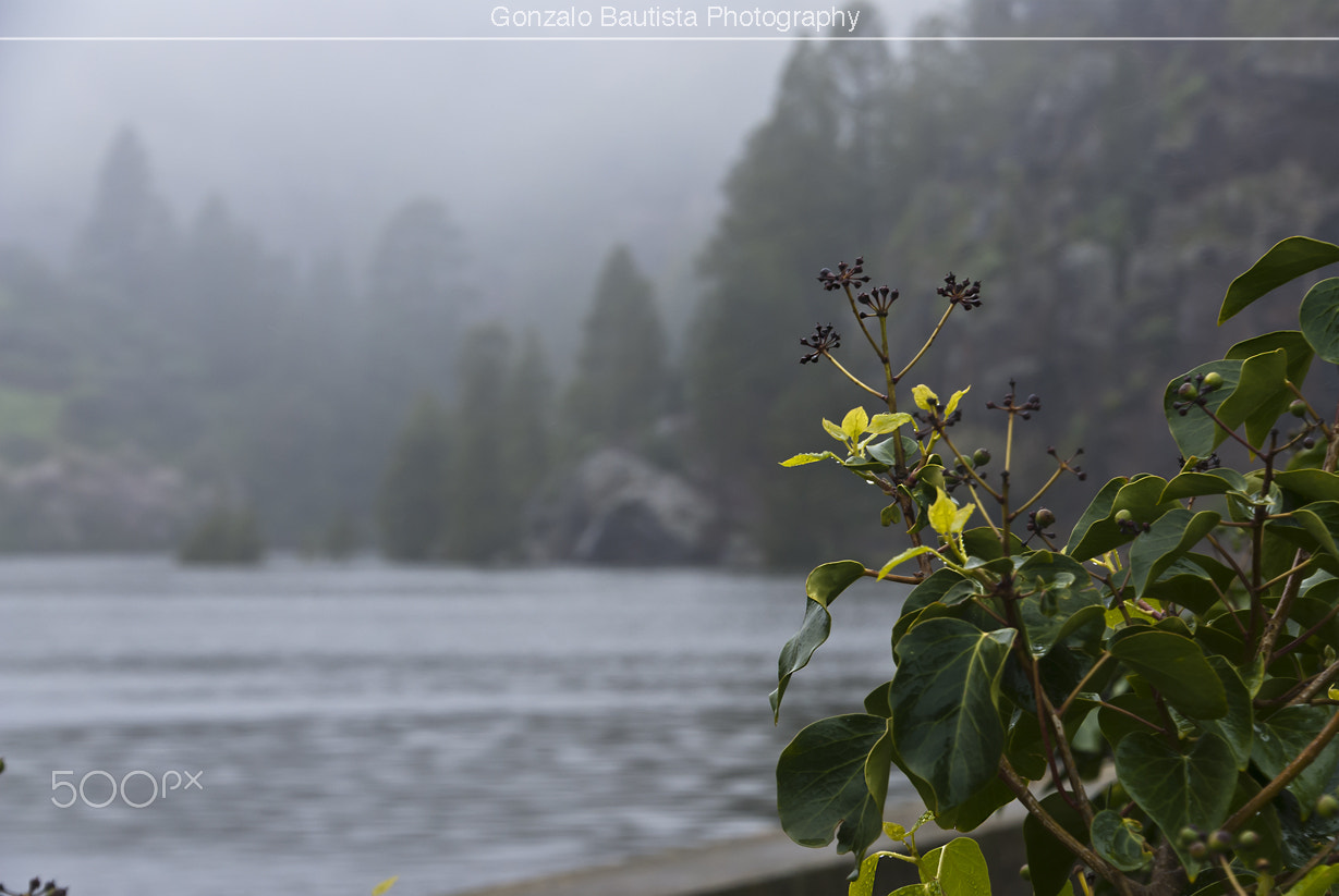Nikon D40X sample photo. Serene afternoon. photography