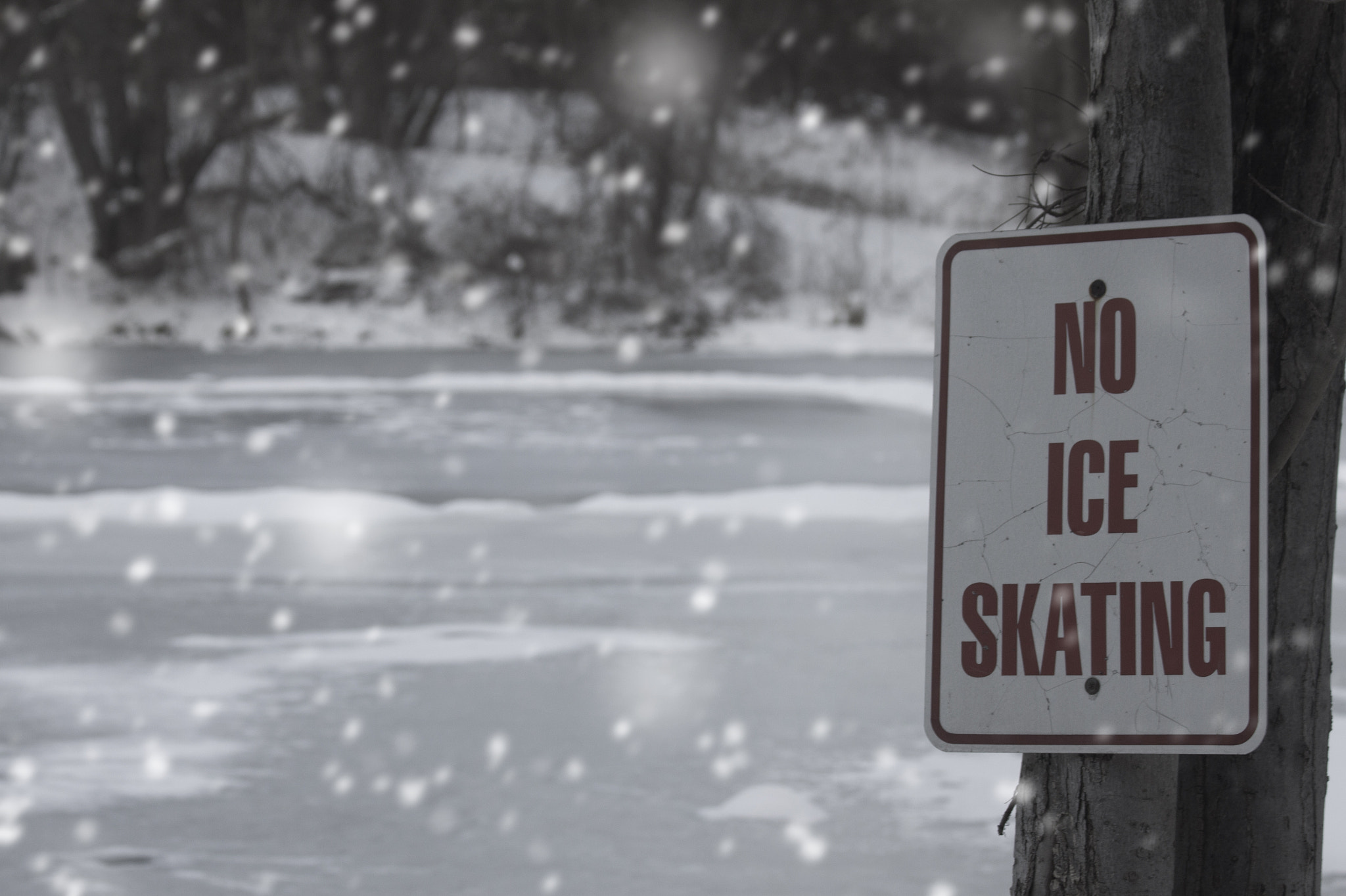Canon EF 70-300mm F4-5.6 IS USM sample photo. No ice skating photography
