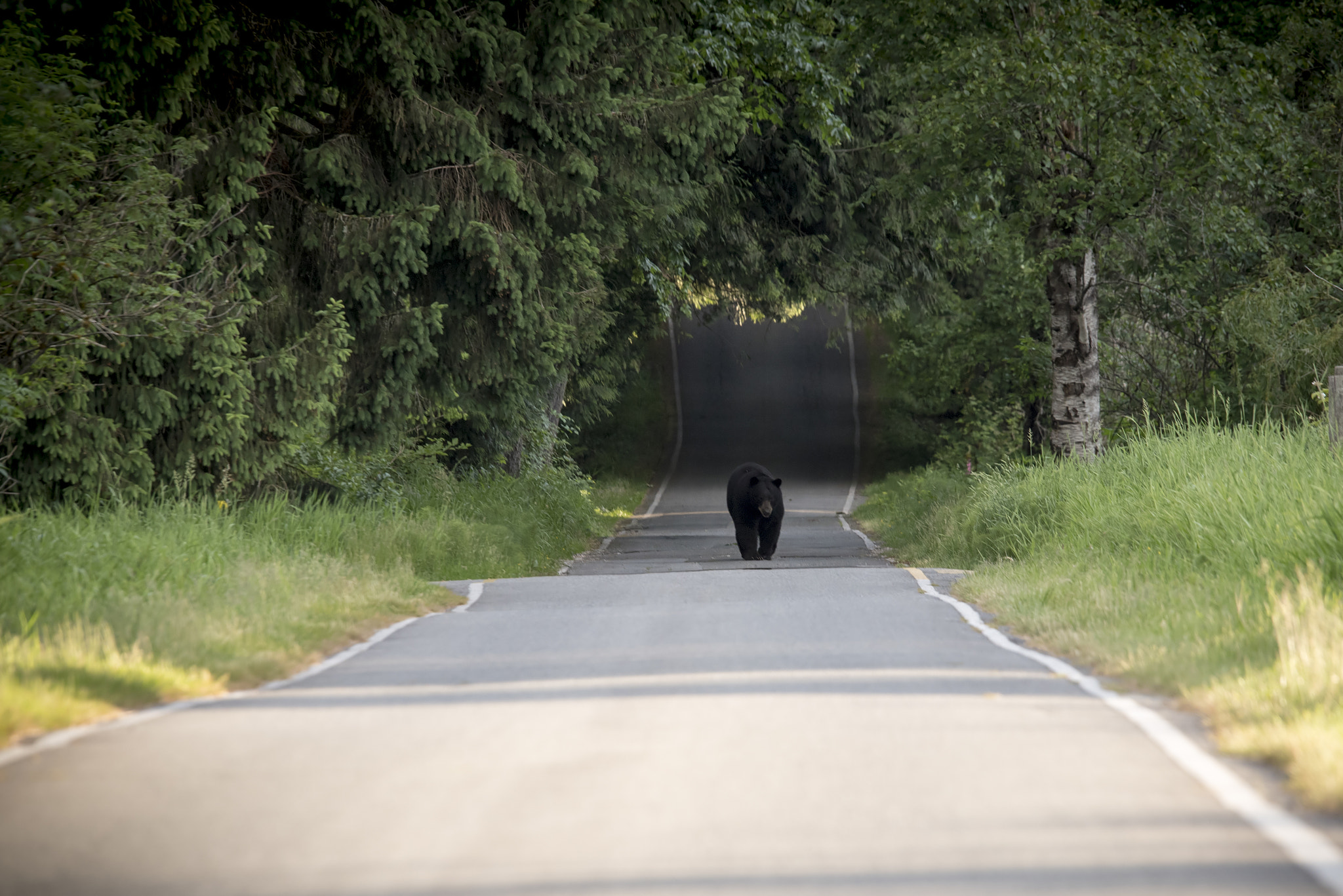 Sigma 120-400mm F4.5-5.6 DG OS HSM sample photo. The road is mine photography