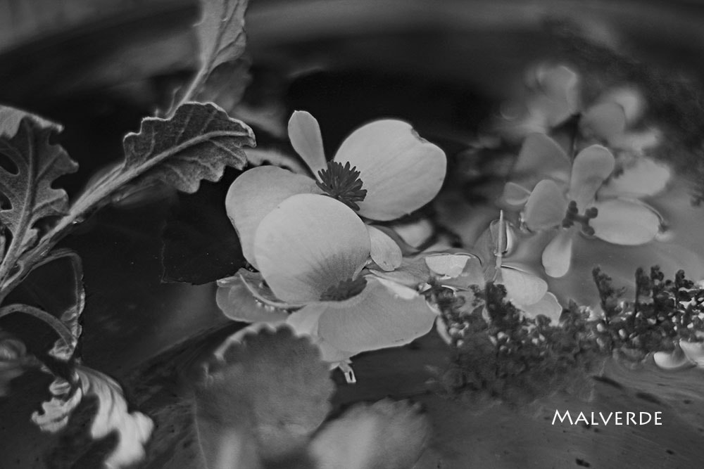 Canon EOS 650D (EOS Rebel T4i / EOS Kiss X6i) sample photo. White water photography