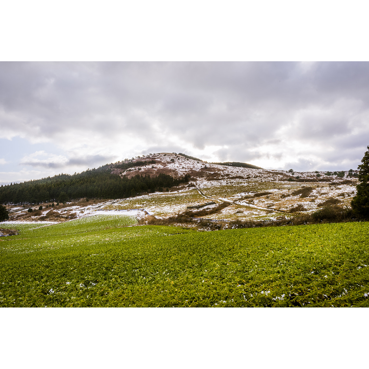 Nikon D810 + Nikon AF Nikkor 24mm F2.8D sample photo. Jeju, korea photography