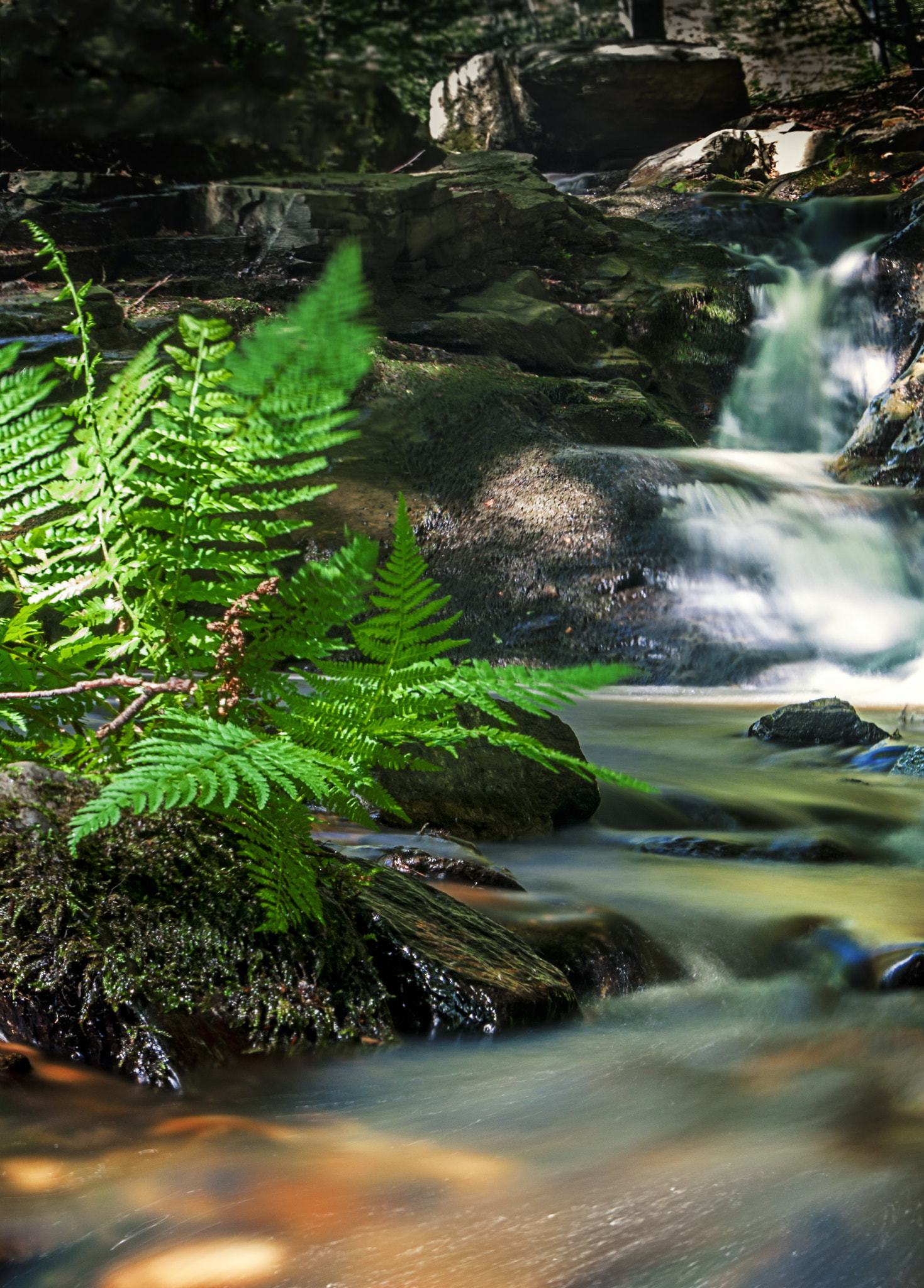 EF28-70mm f/2.8L USM sample photo. Hidden beauty photography