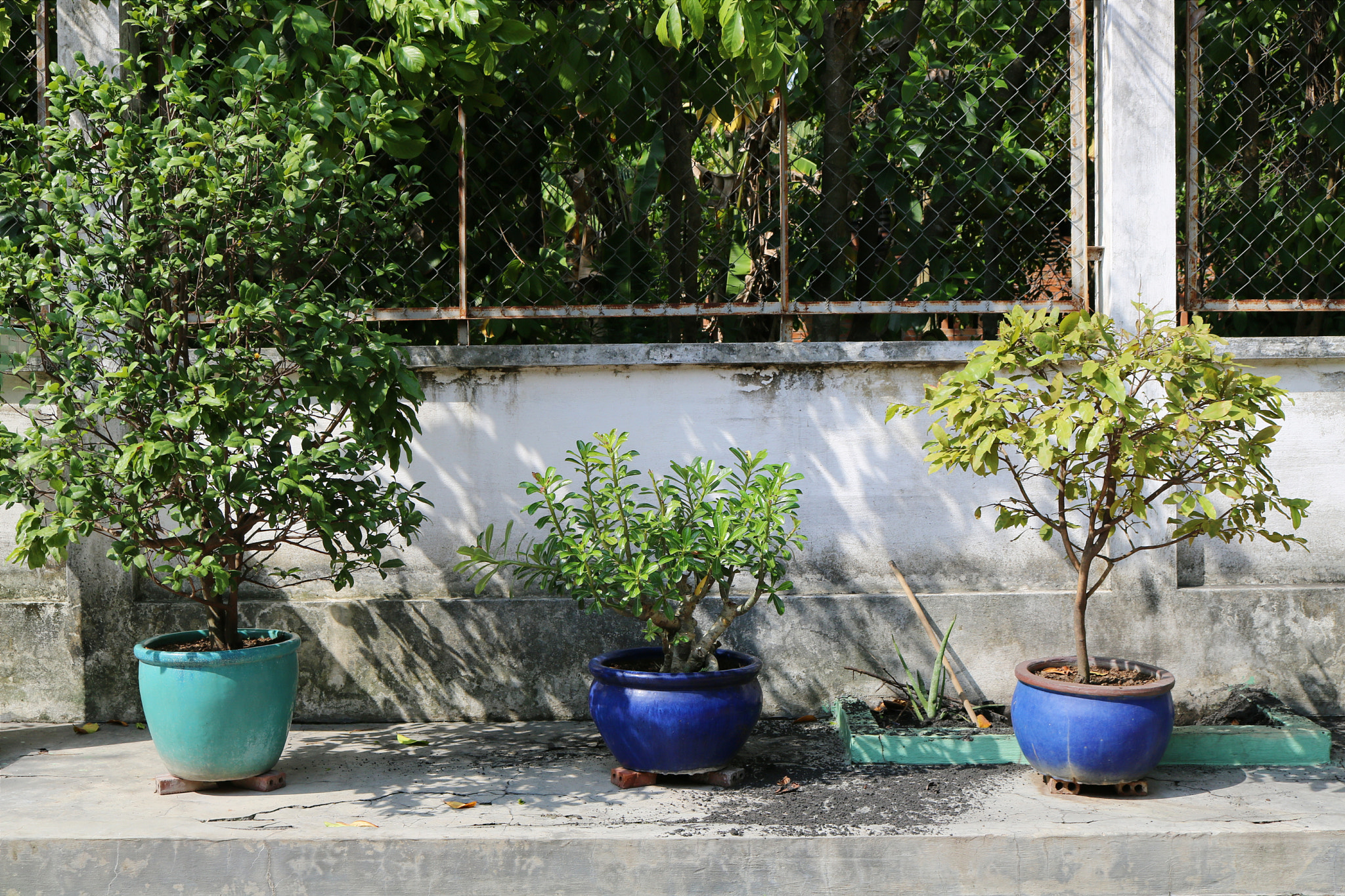 Canon EOS 750D (EOS Rebel T6i / EOS Kiss X8i) sample photo. Trees photography