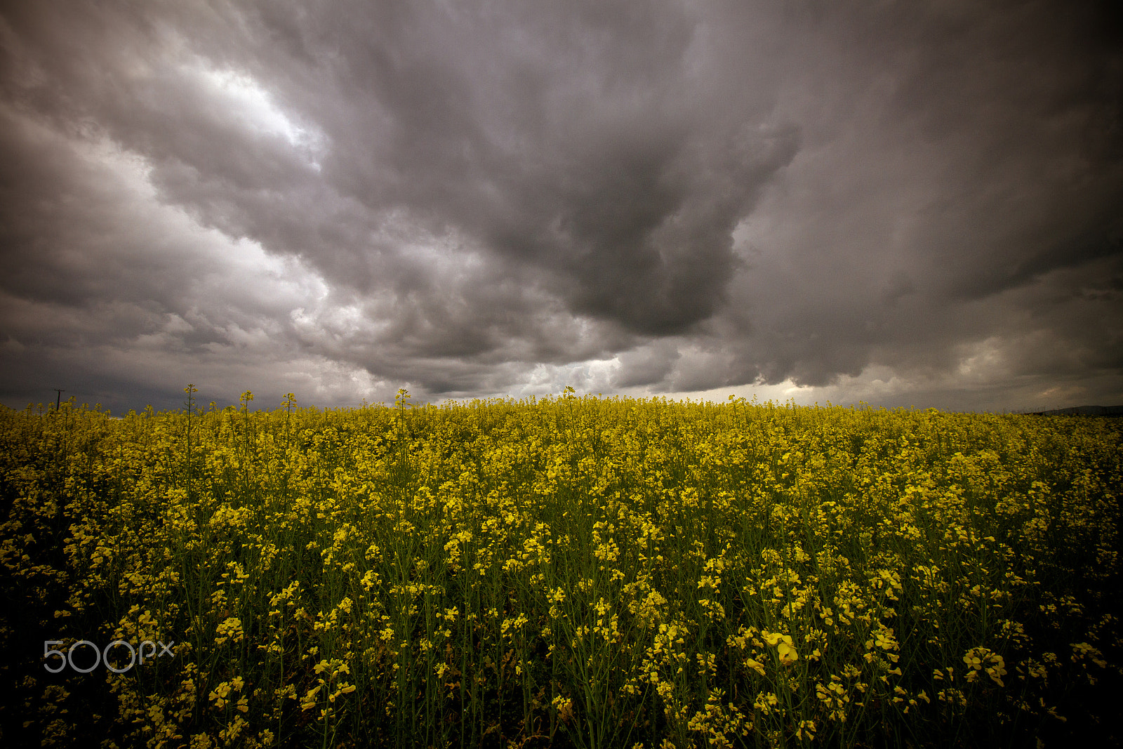 Canon EF-S 10-18mm F4.5–5.6 IS STM sample photo. Another storm photography