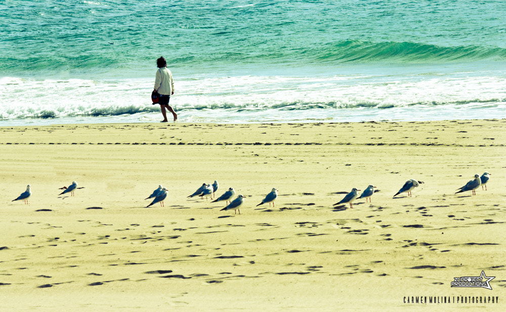 Canon EF-S 55-250mm F4-5.6 IS sample photo. Beach photography