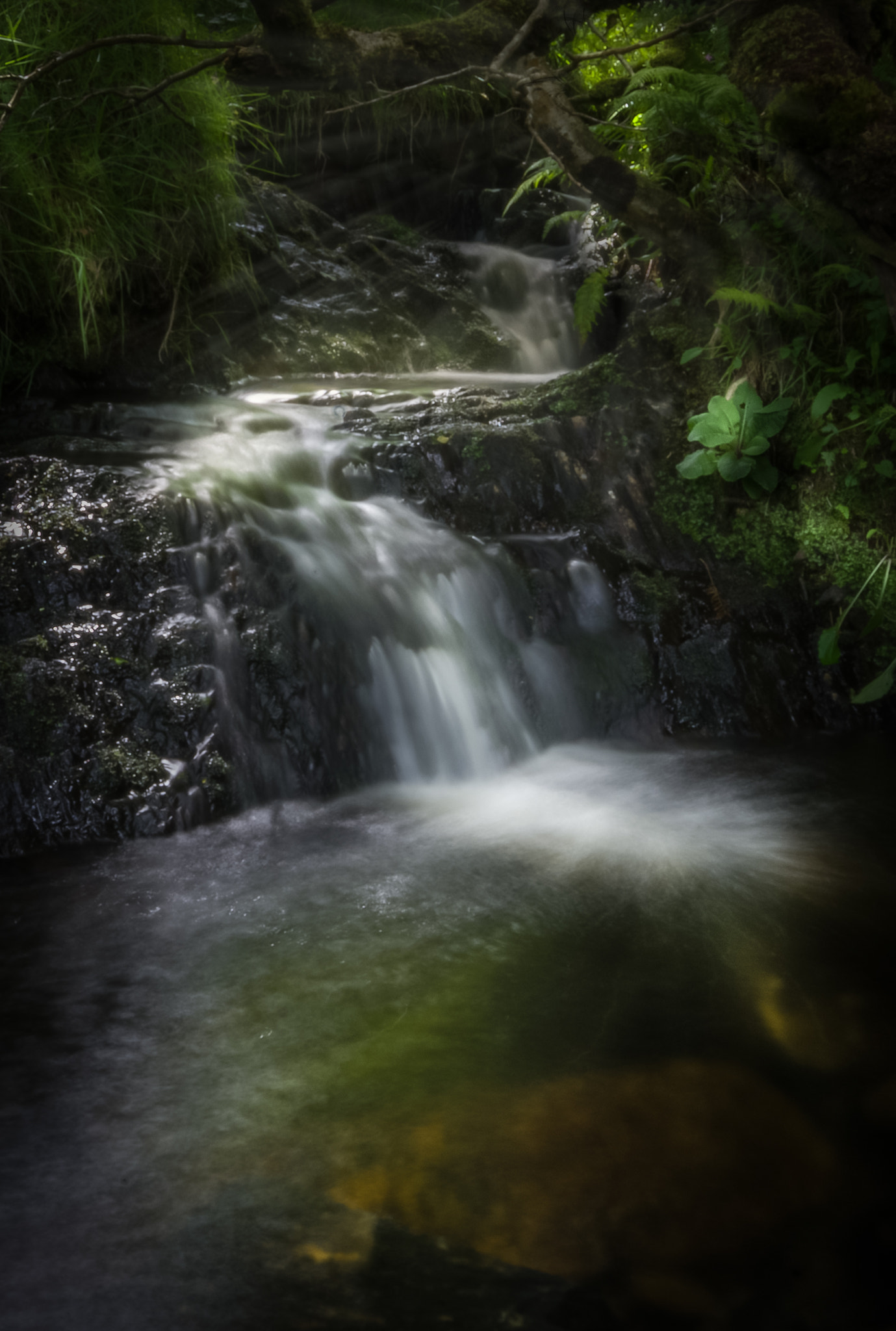 Sigma AF 10-20mm F4-5.6 EX DC sample photo. Islanddogphotography photography