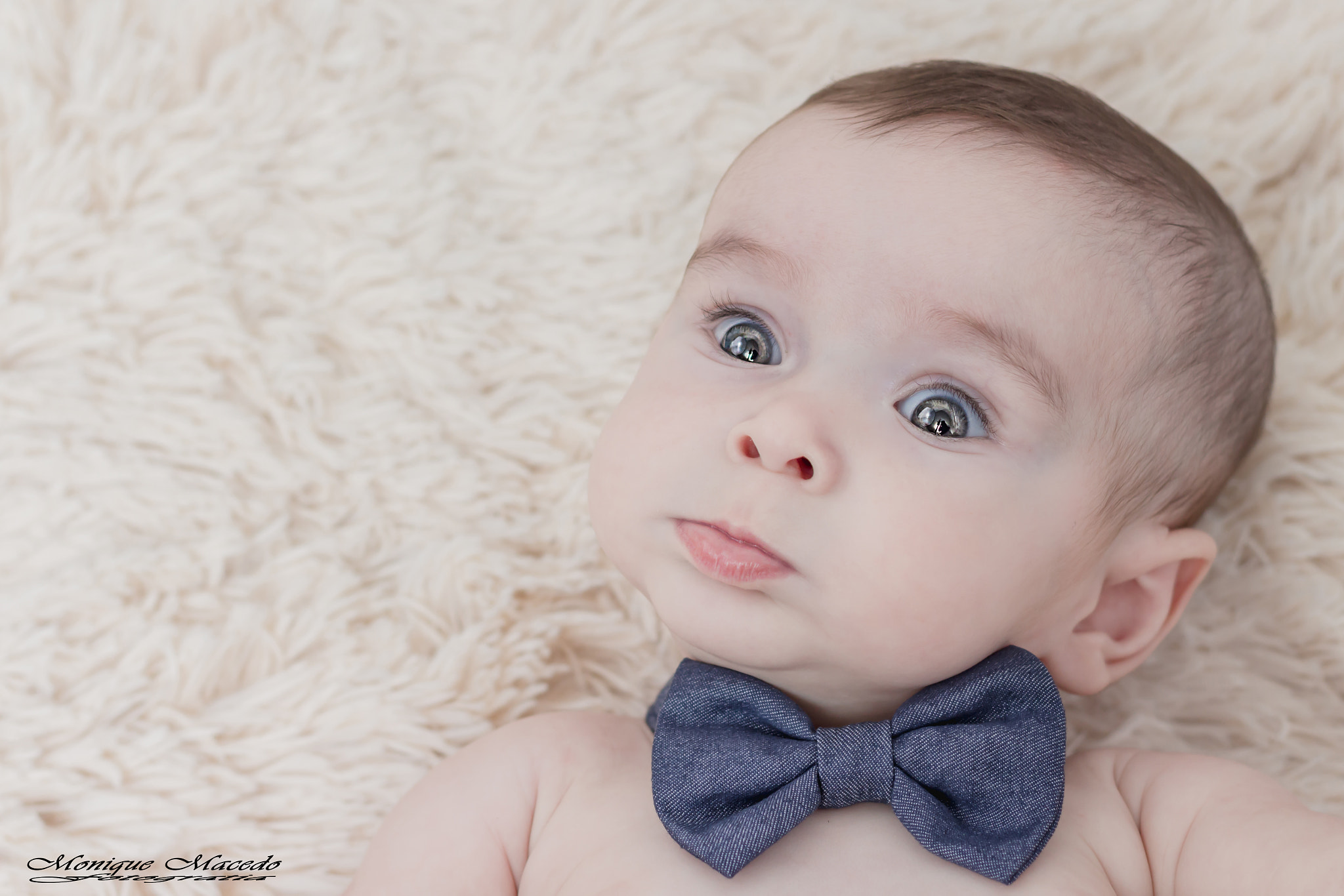 Canon EOS 700D (EOS Rebel T5i / EOS Kiss X7i) + Canon EF 50mm F1.8 II sample photo. Enrico 04 meses! photography