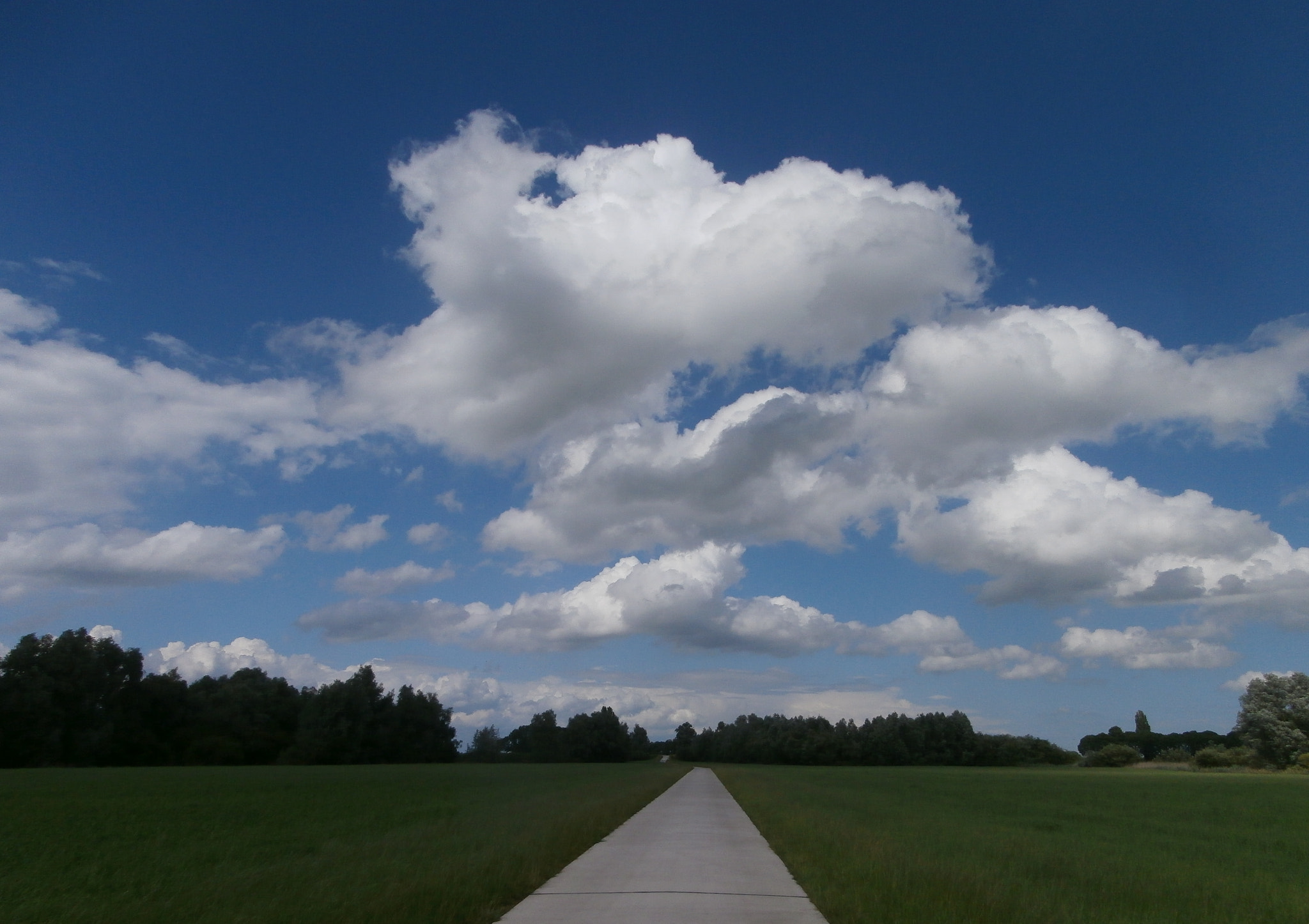Olympus VR340,D750 sample photo. Road to nowhere photography