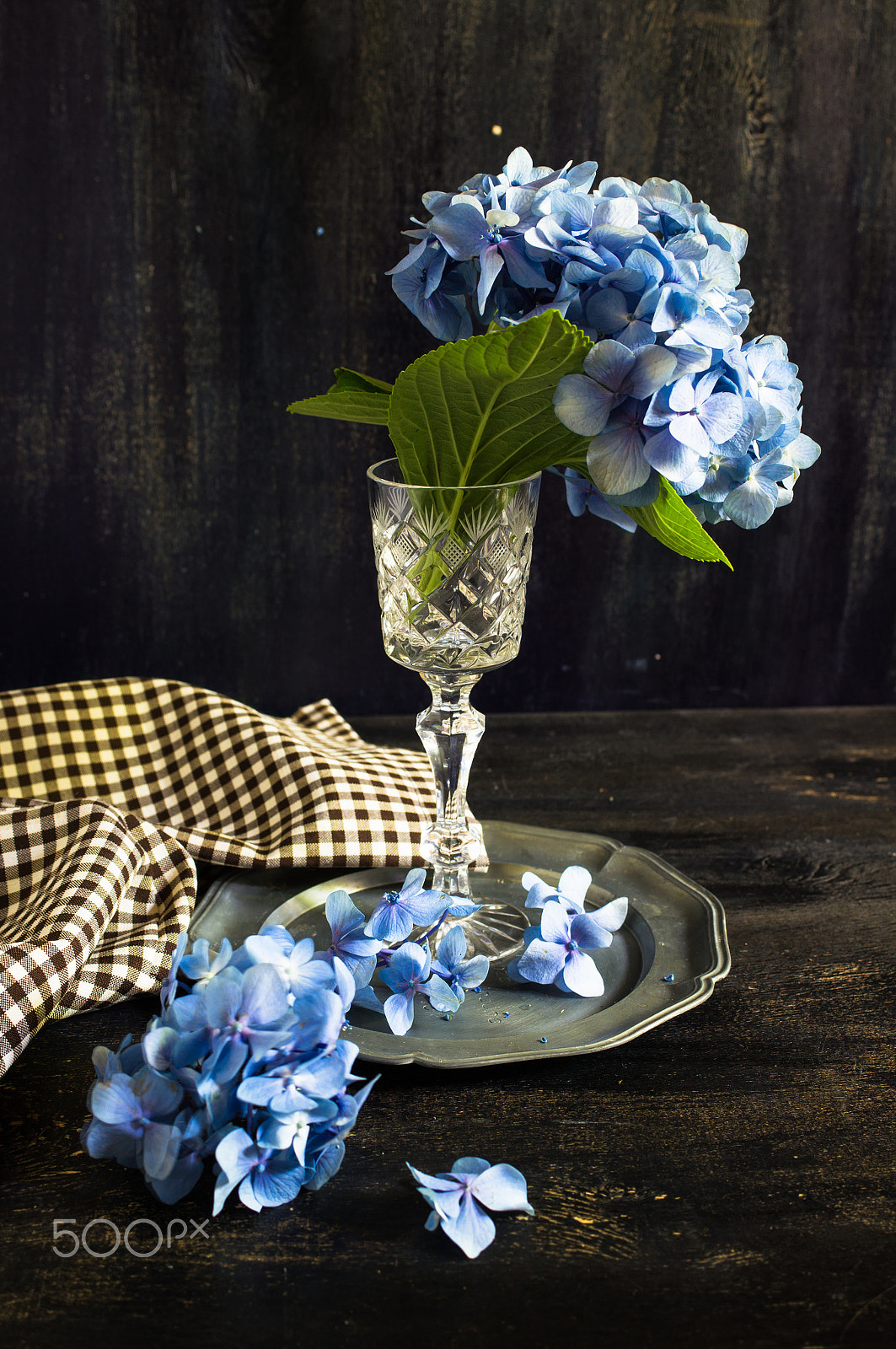 Sony SLT-A55 (SLT-A55V) + Sony DT 30mm F2.8 Macro SAM sample photo. Hydrangea flowers and table setting photography