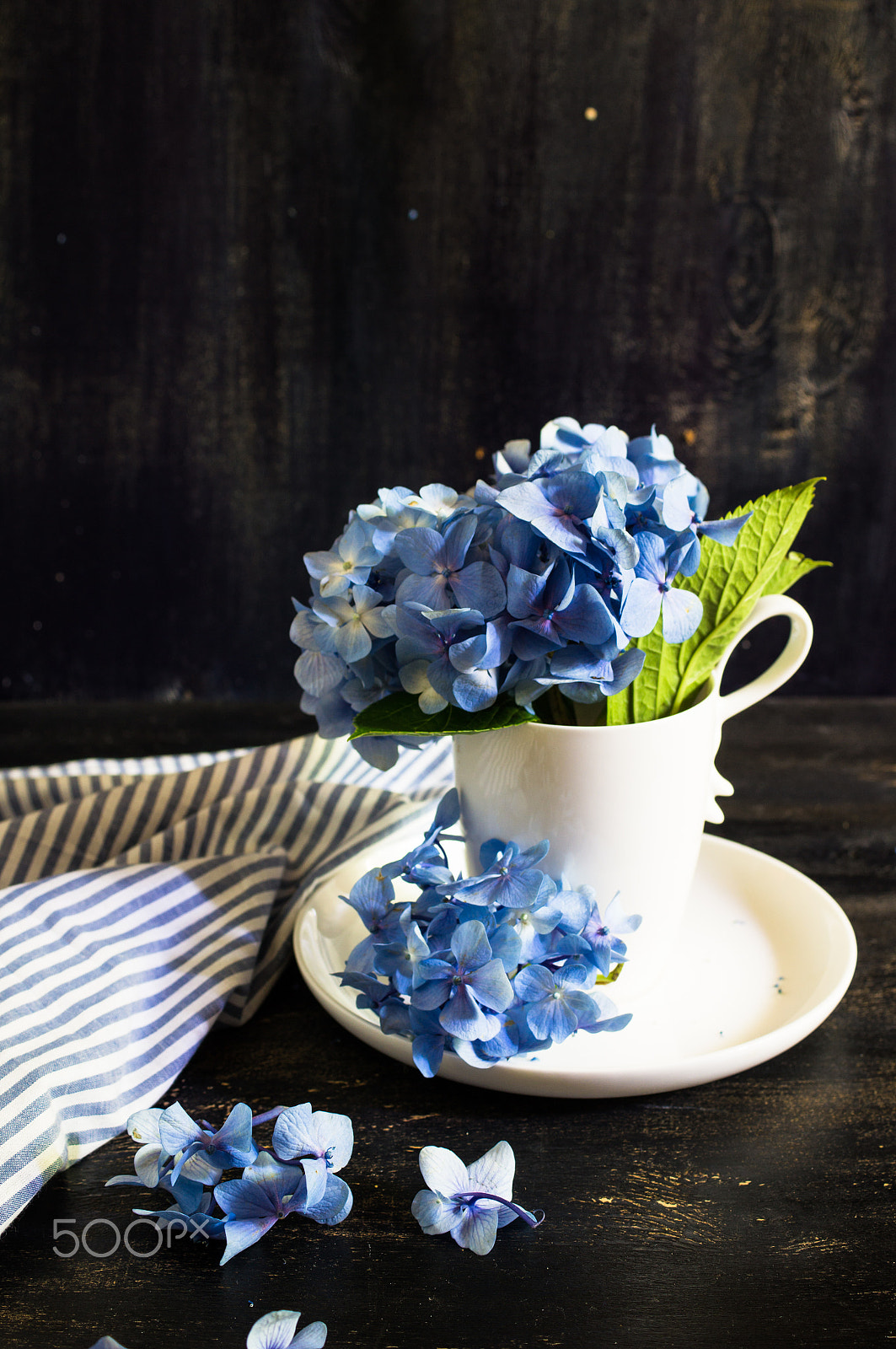 Sony SLT-A55 (SLT-A55V) + Sony DT 30mm F2.8 Macro SAM sample photo. Hydrangea flowers and table setting photography