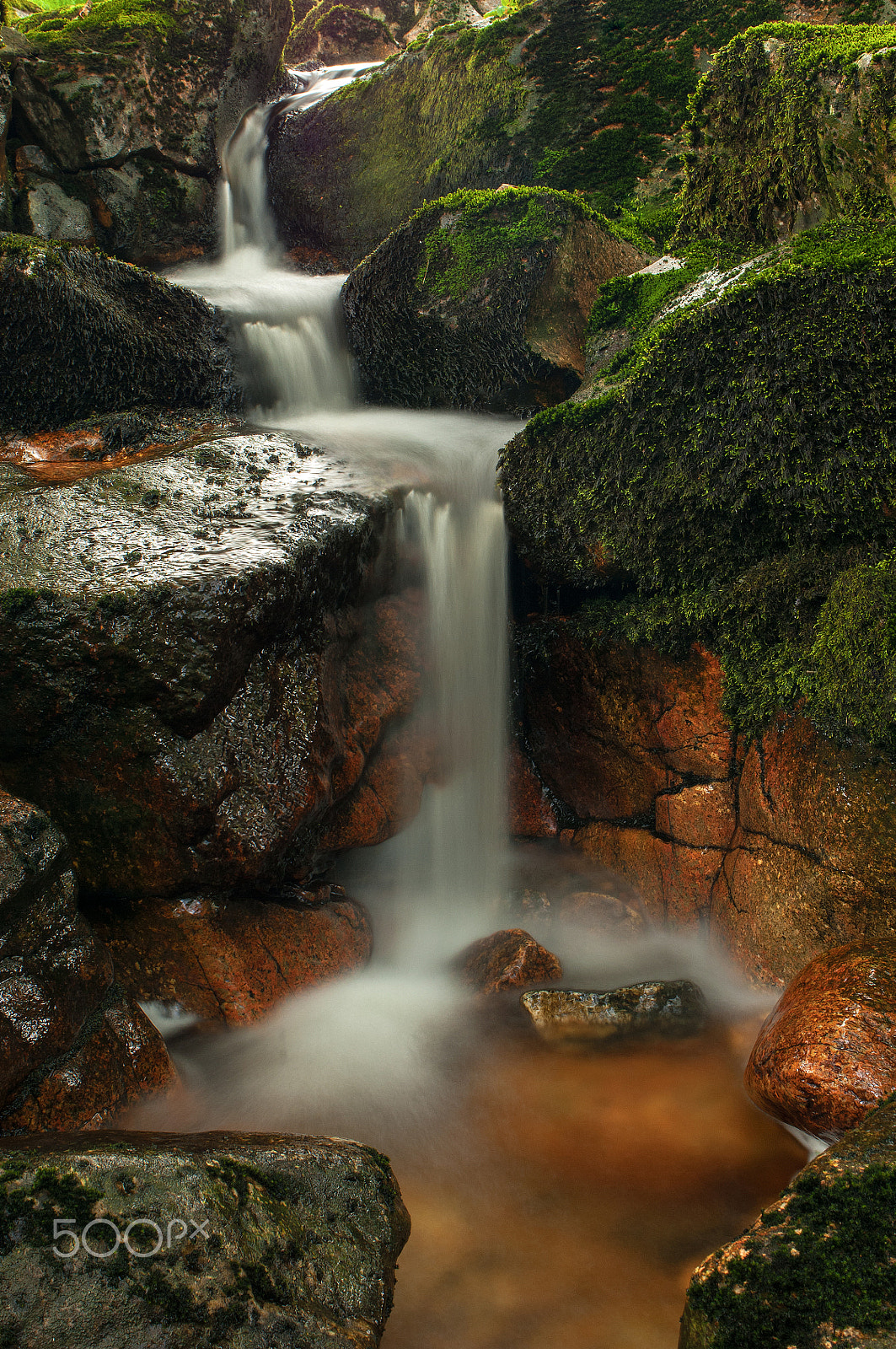 Nikon D2X sample photo. Cadover photography