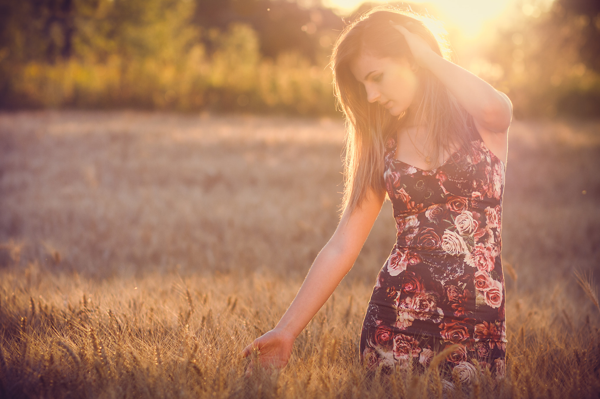 Canon EOS 40D + Canon EF 85mm F1.8 USM sample photo. Walking in the sunset photography