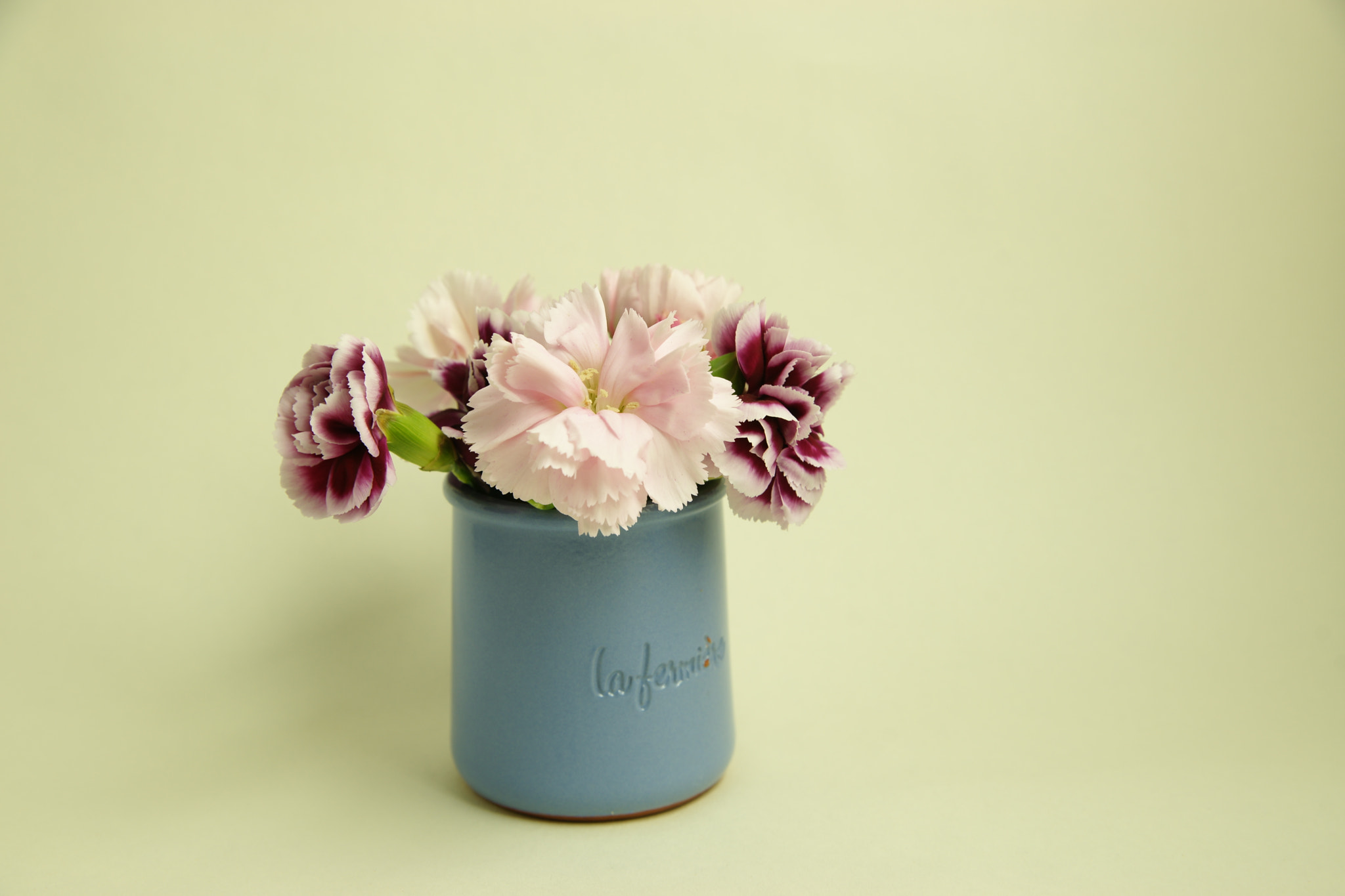 Sony Alpha DSLR-A850 + Sony 28-75mm F2.8 SAM sample photo. Pink photography