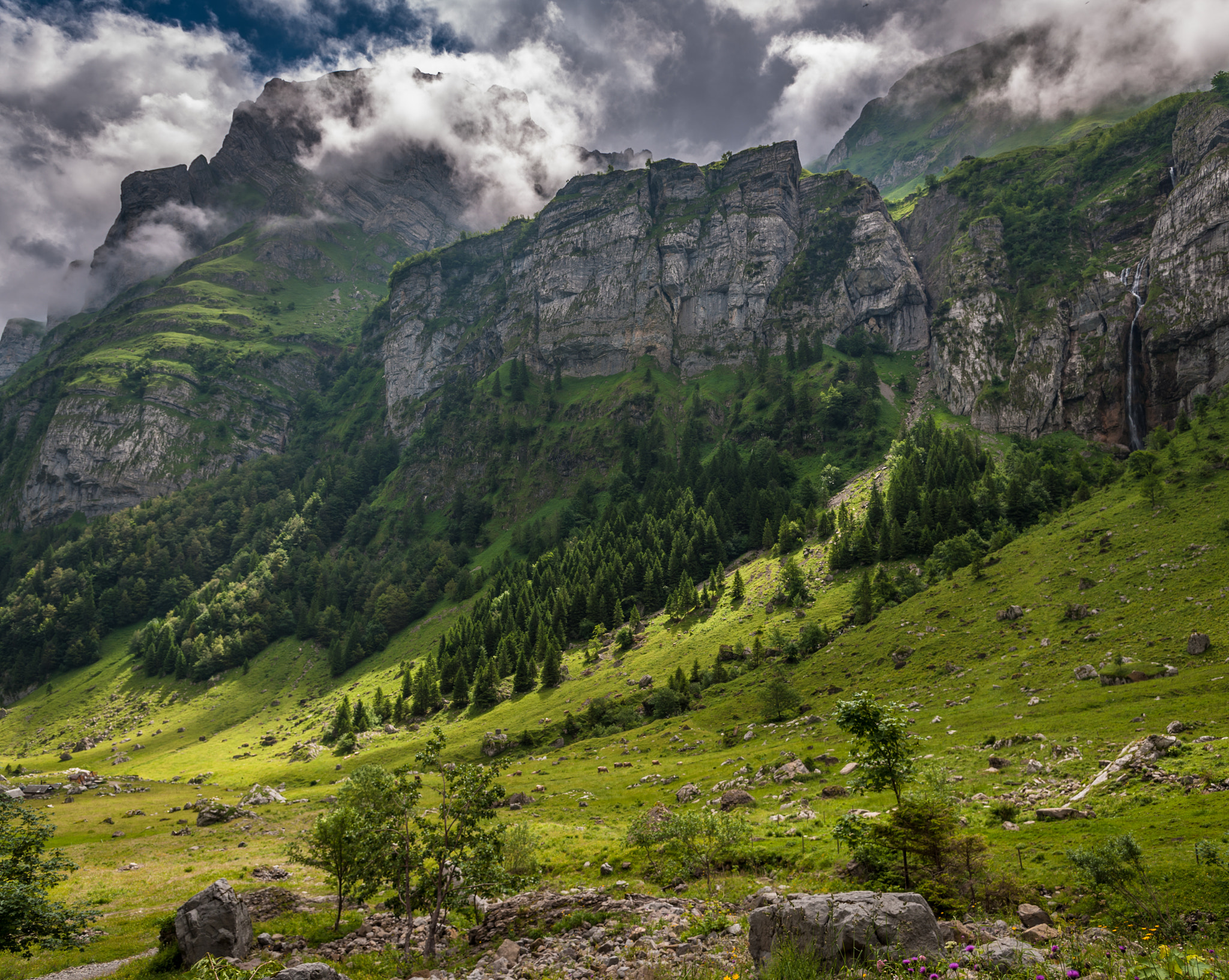 Nikon D3X sample photo. Seealp photography