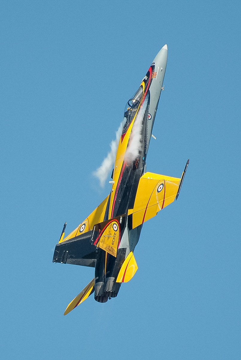 Nikon AF-S Nikkor 200-500mm F5.6E ED VR sample photo. Canadian cf-18 photography